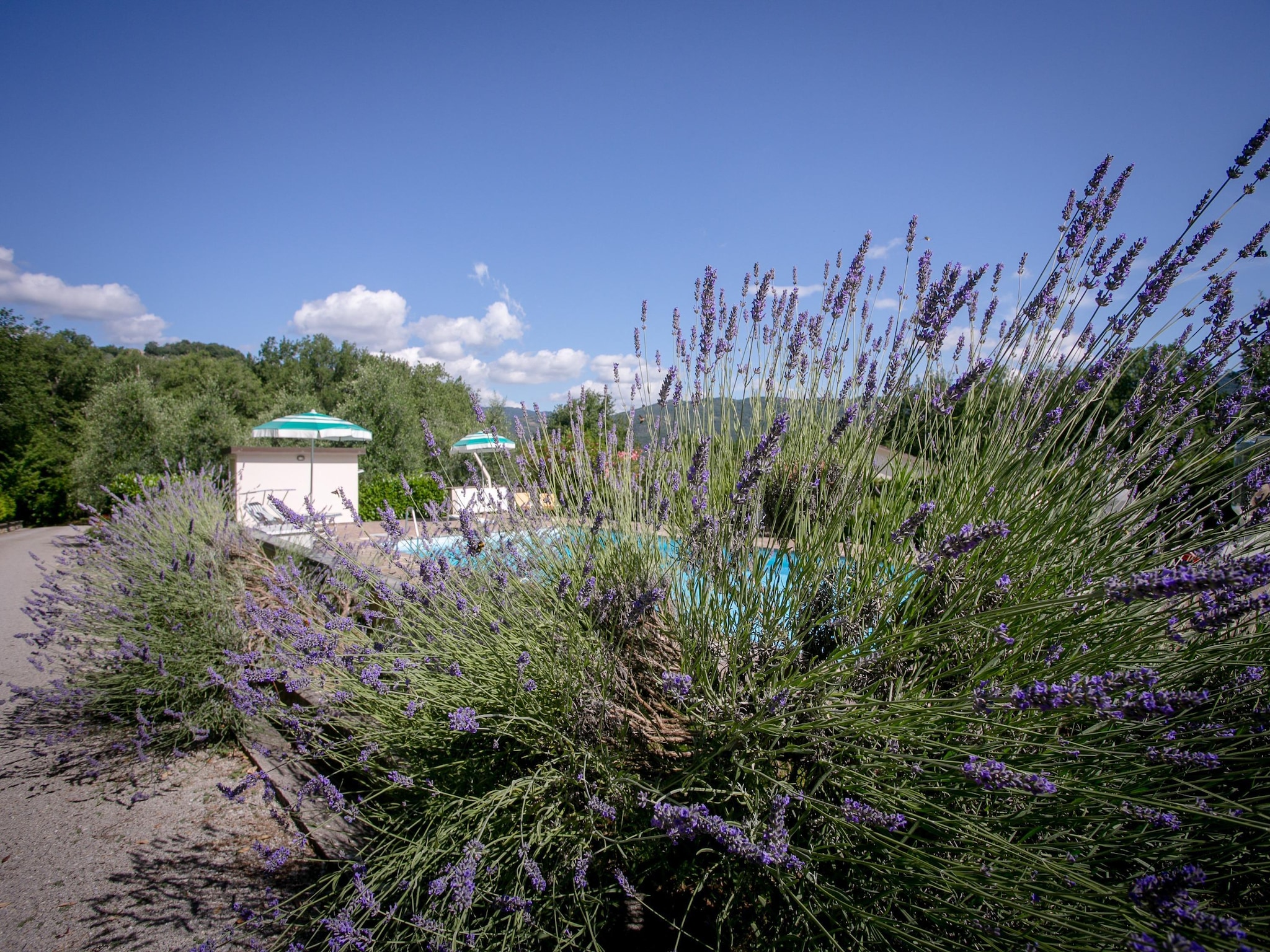 度假住宅 Giardino delle Giare