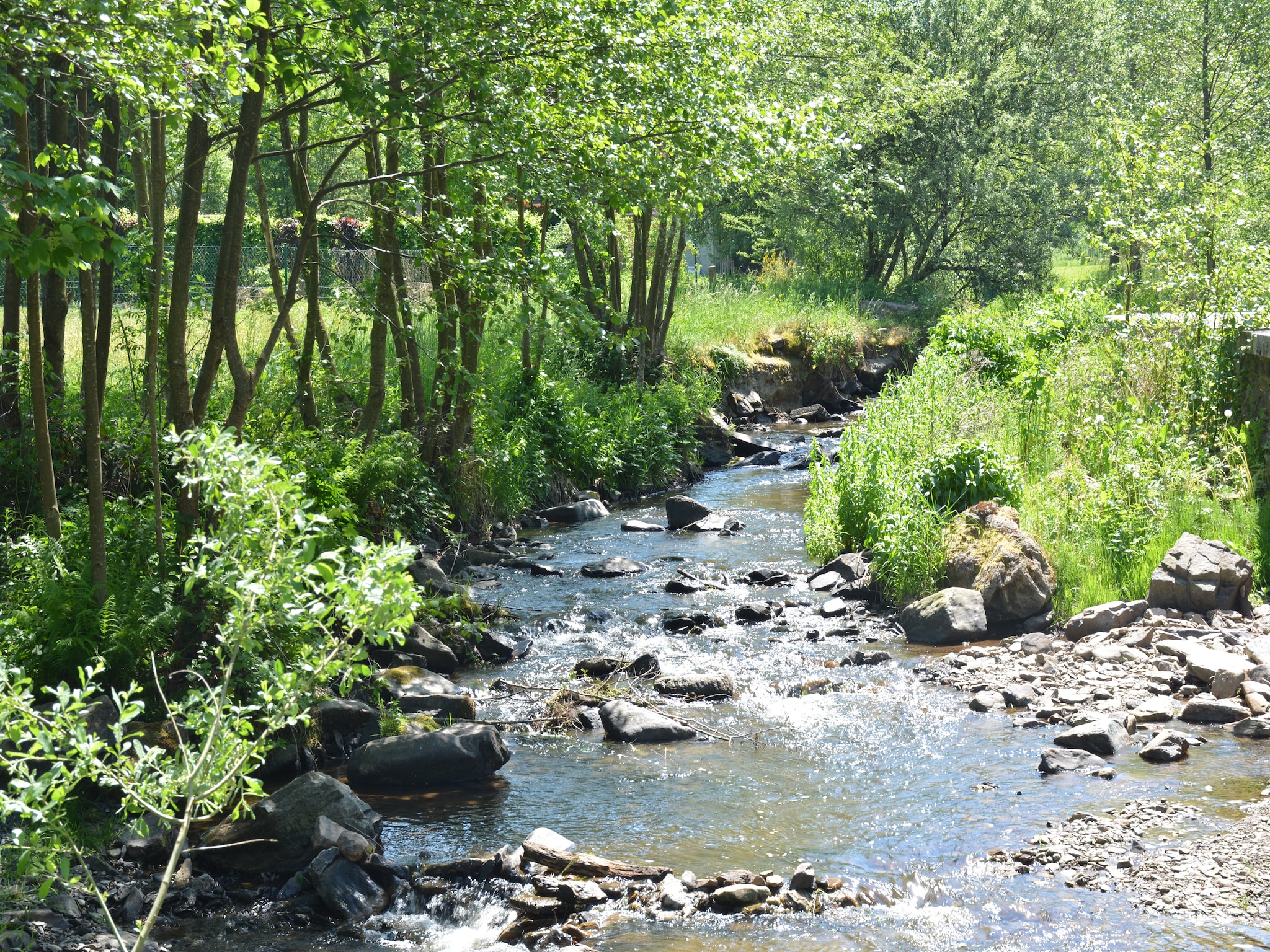   Au Bord de la Rivière