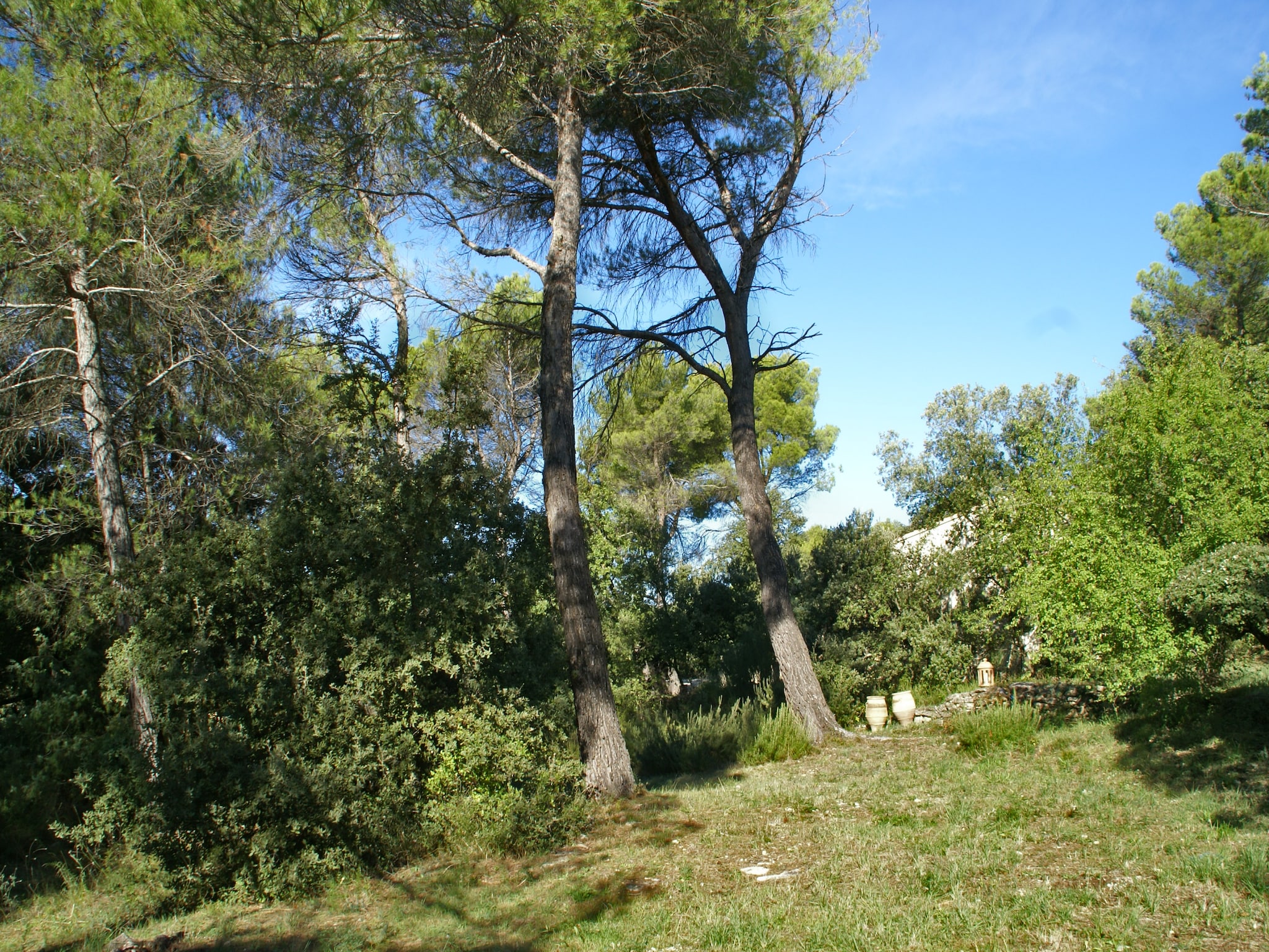 Vakantiehuis Crillon le Brave