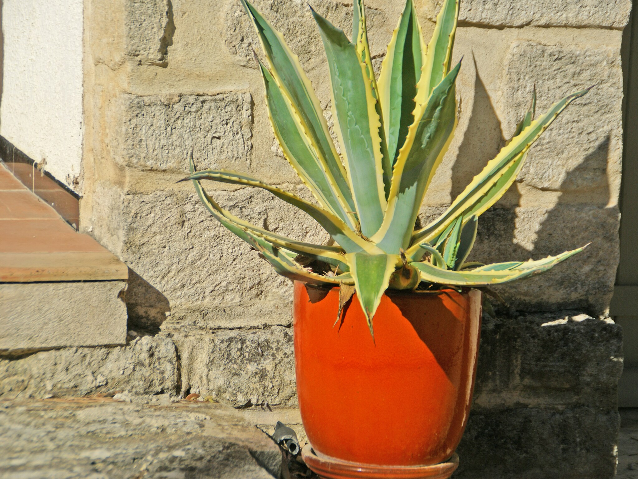 Vakantiehuis Crillon le Brave