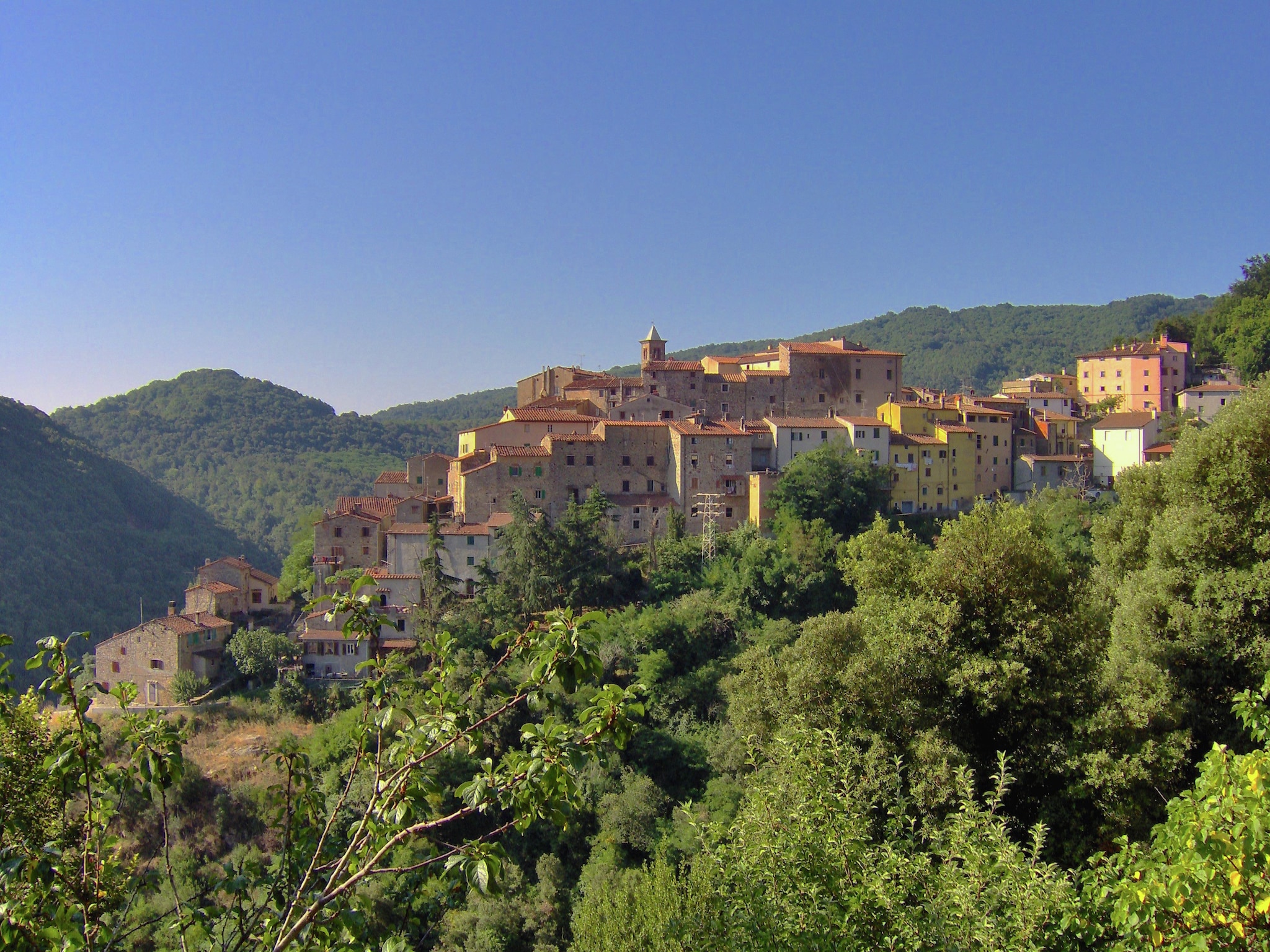   Sassetta Castagno