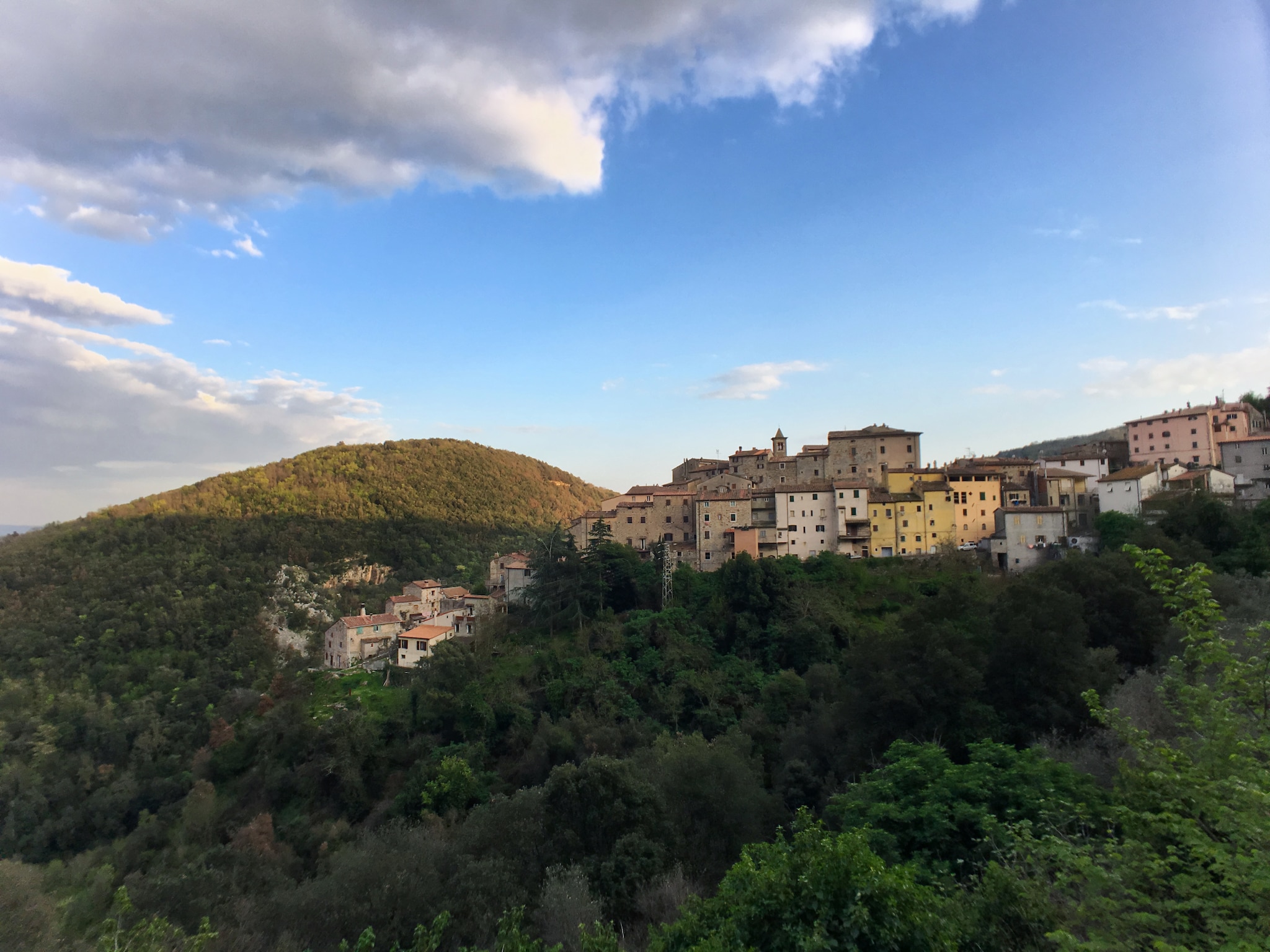   Sassetta Castagno