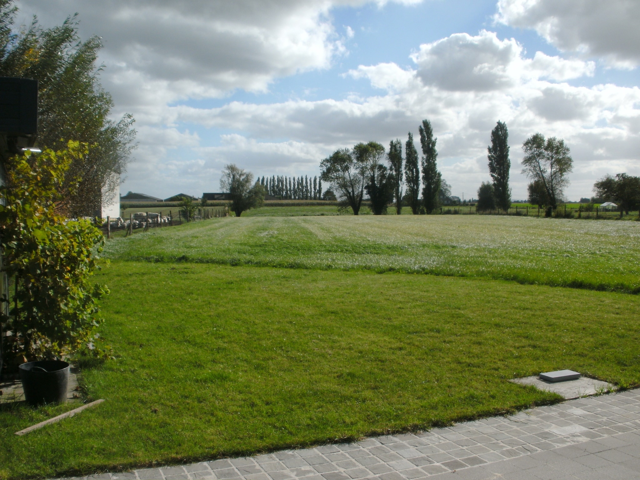   De Bietenmolen