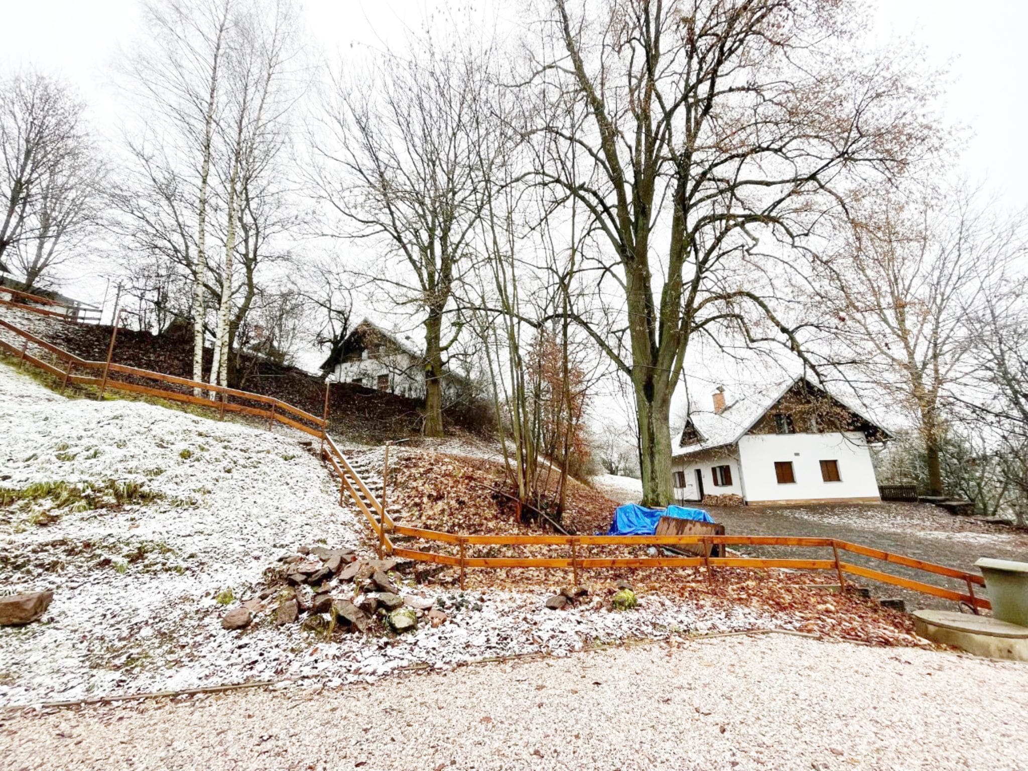   Druzstvo Belvédère