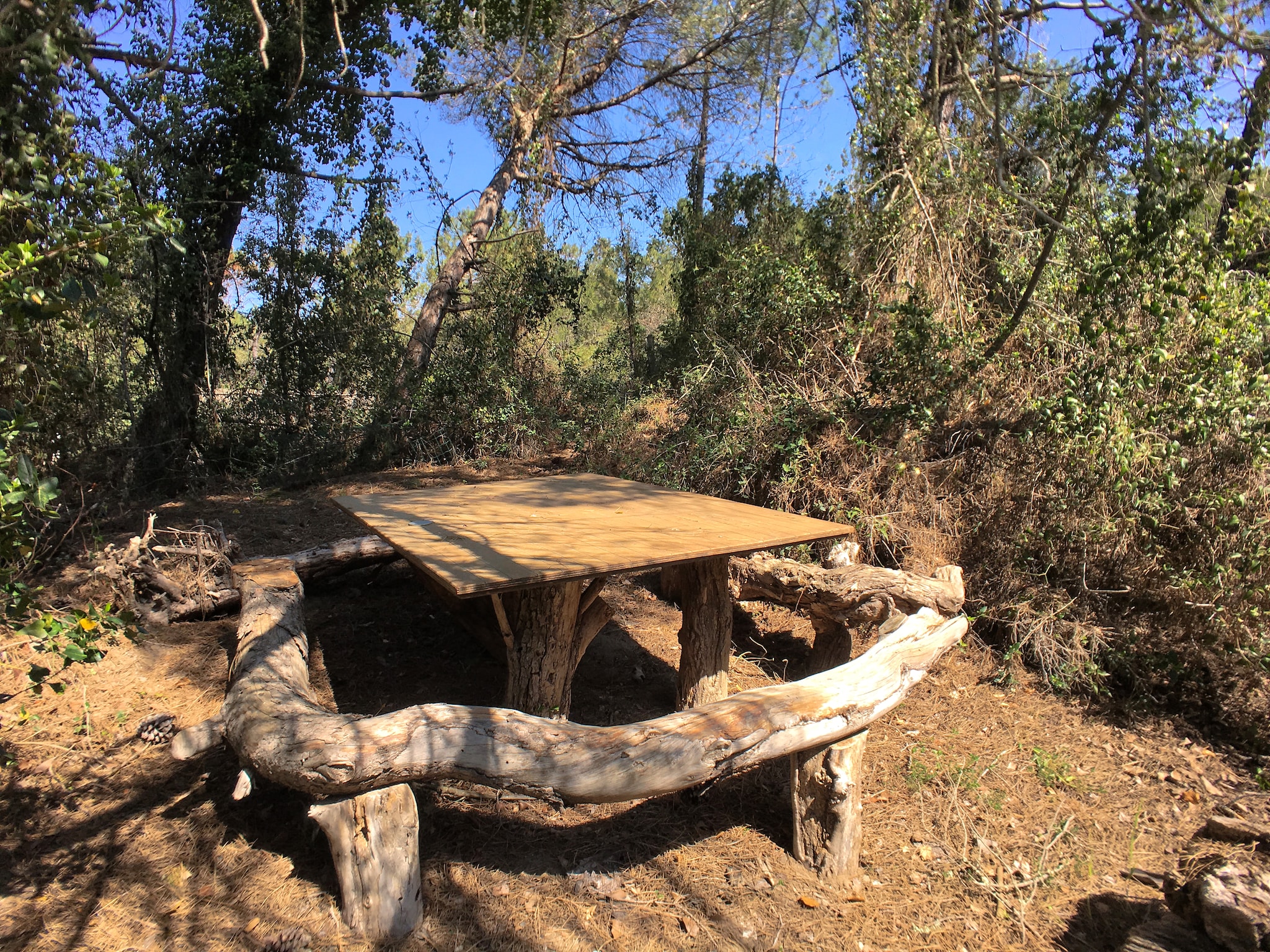   Quercia Gardenia