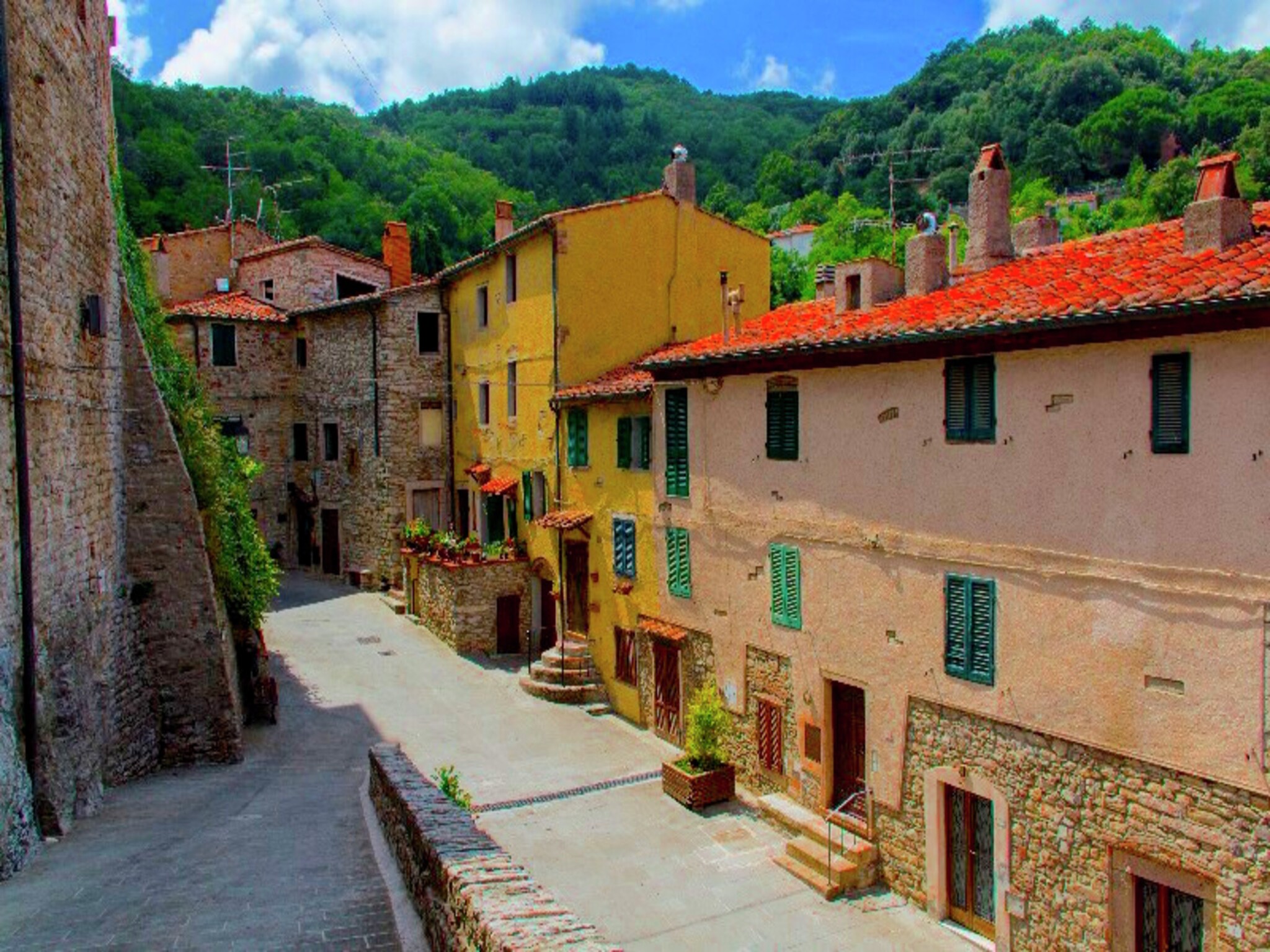   Agrifogli Rosa
