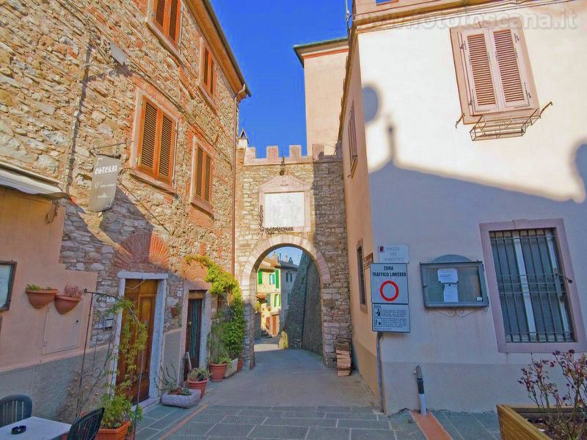   Agrifogli Rosa