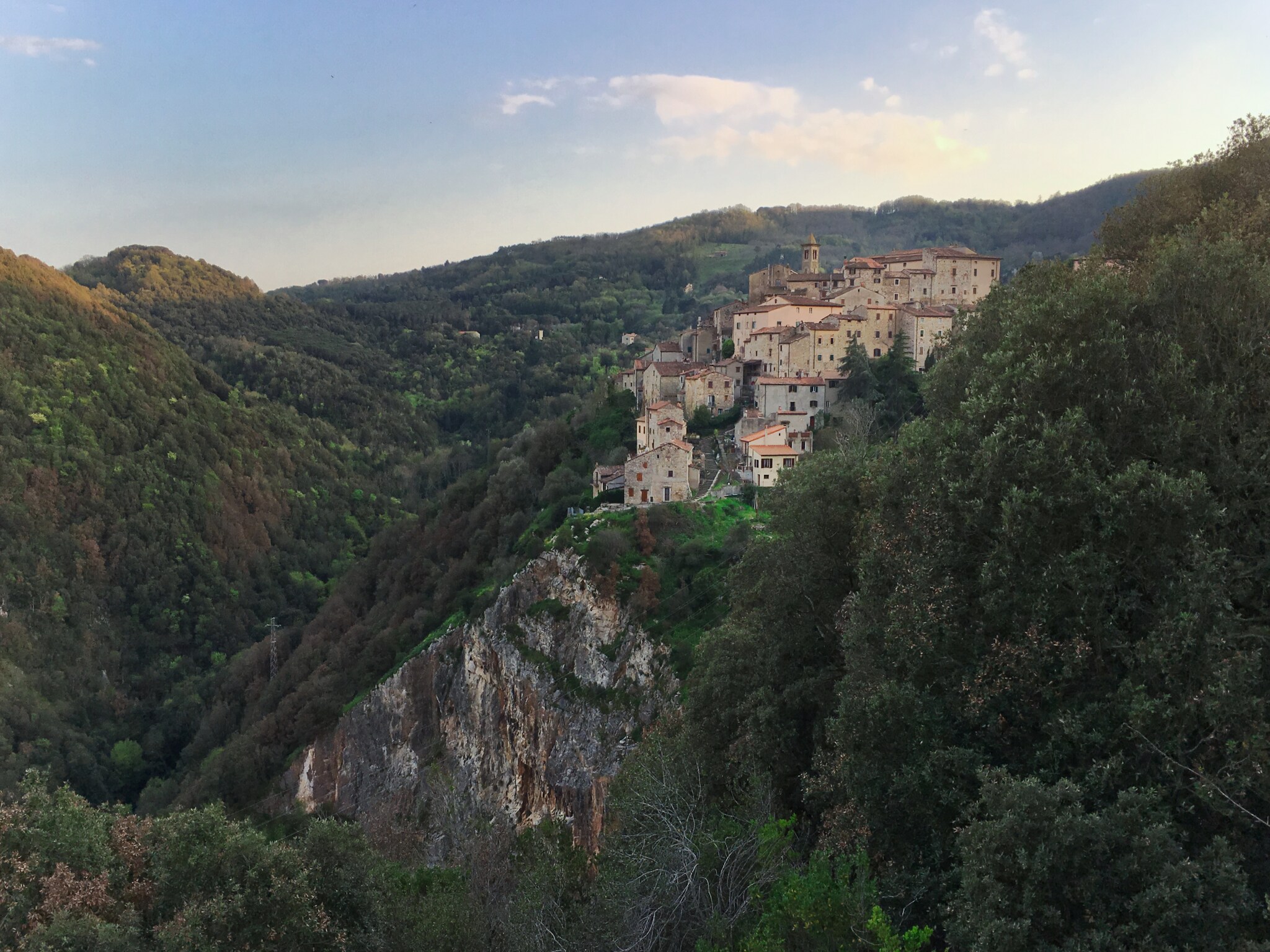   Agrifogli Rosa