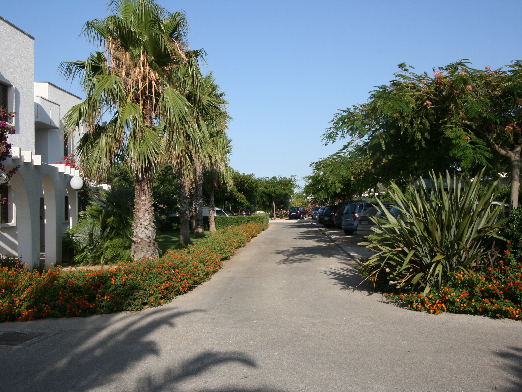 Appartamento Residence Barbara 3