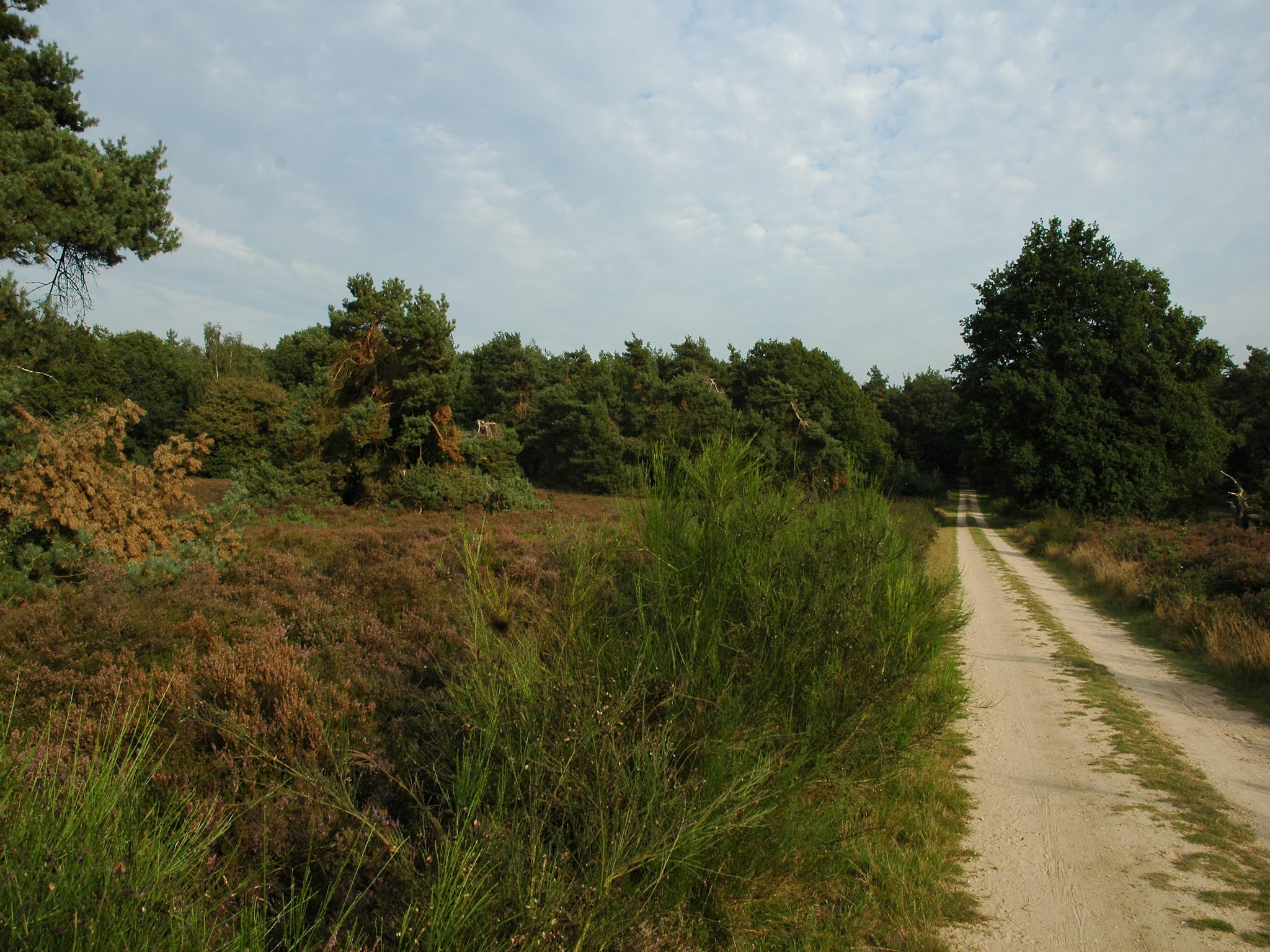   Landgoed De IJsvogel 6