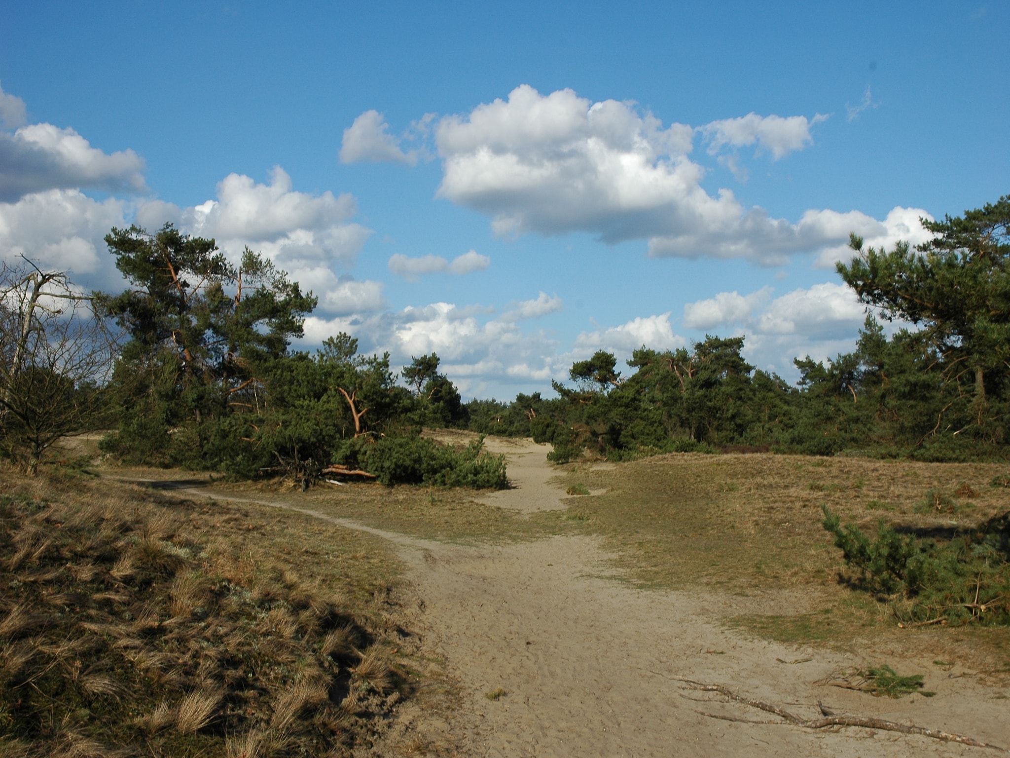   Landgoed De IJsvogel 6
