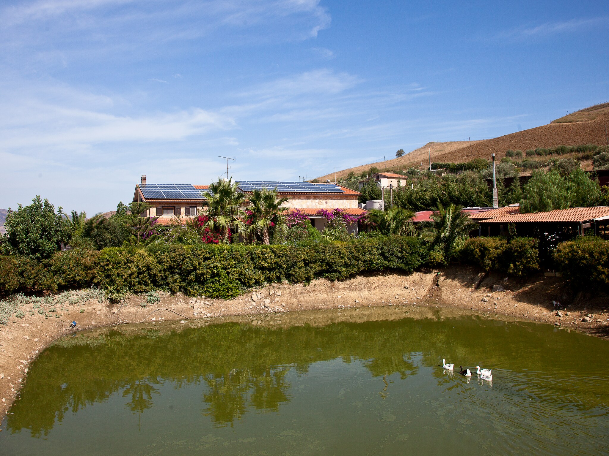   Al Lago