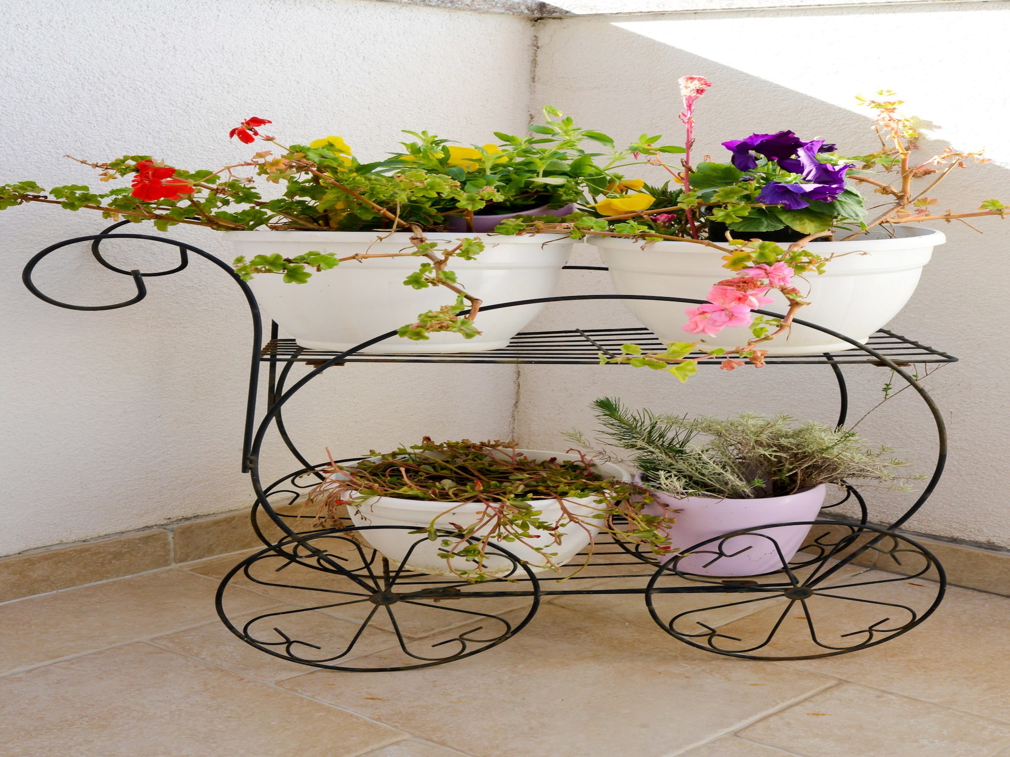Apartmá Apartment Barbara 2