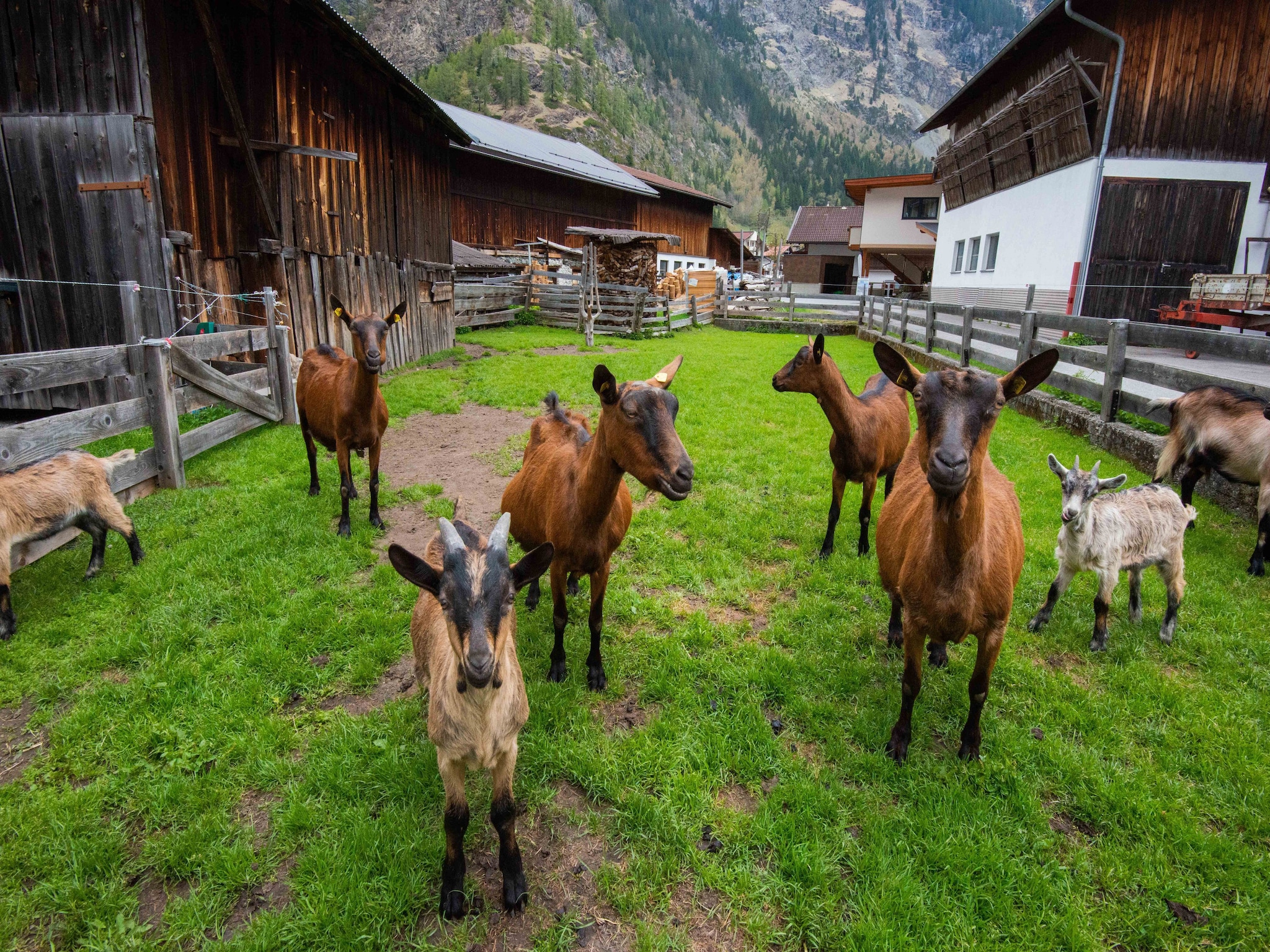 Leilighet Haus Peppas