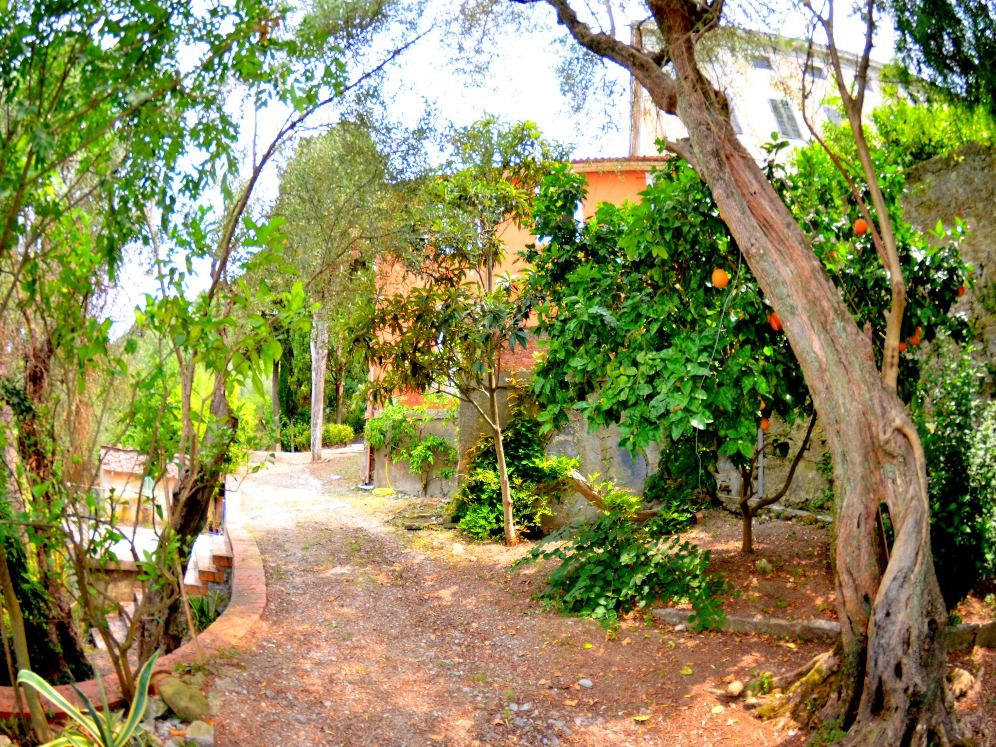 Ferienhaus Collina Lagomare