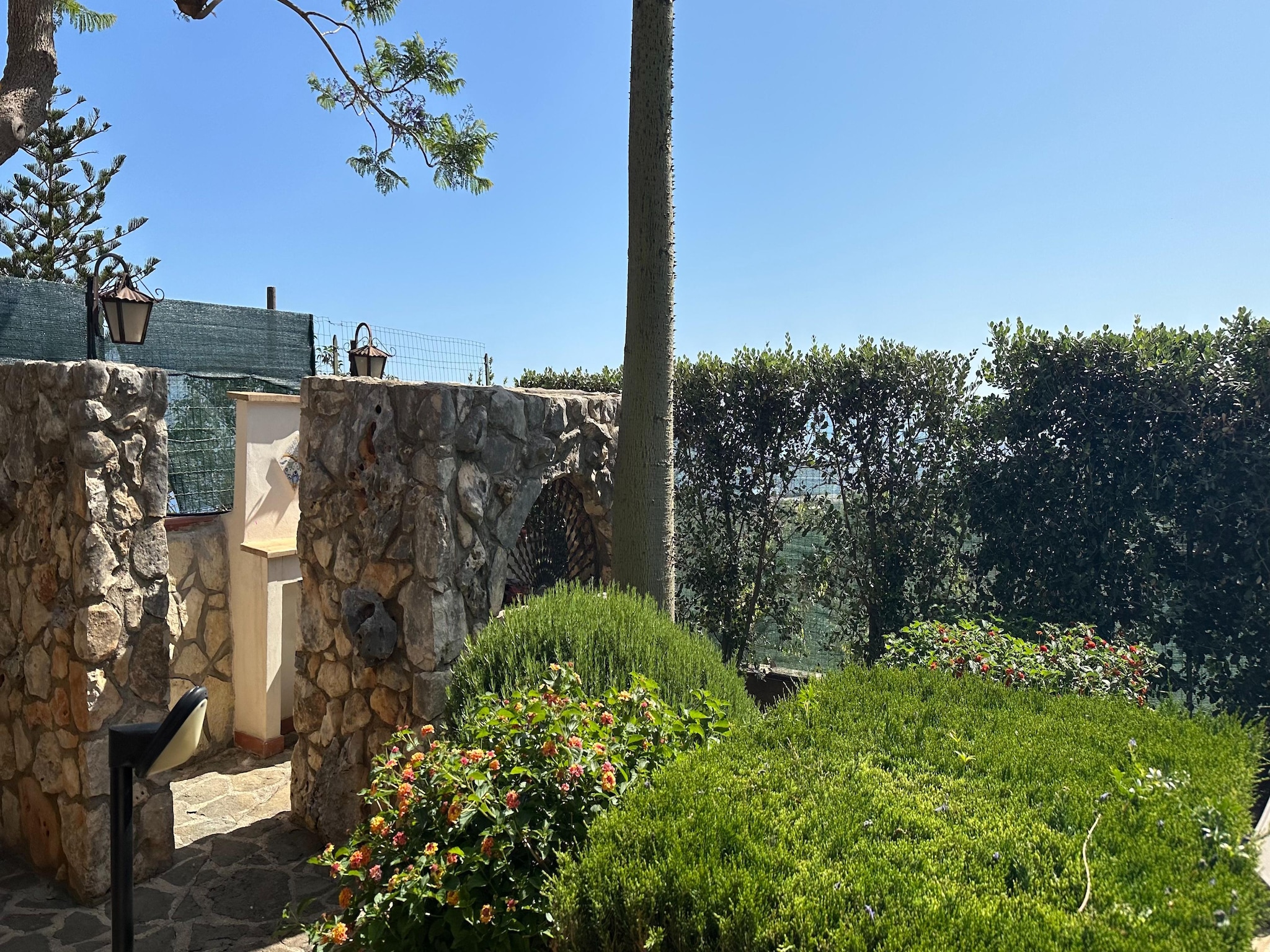 Casa di vacanze Patrizia Bouganvillae