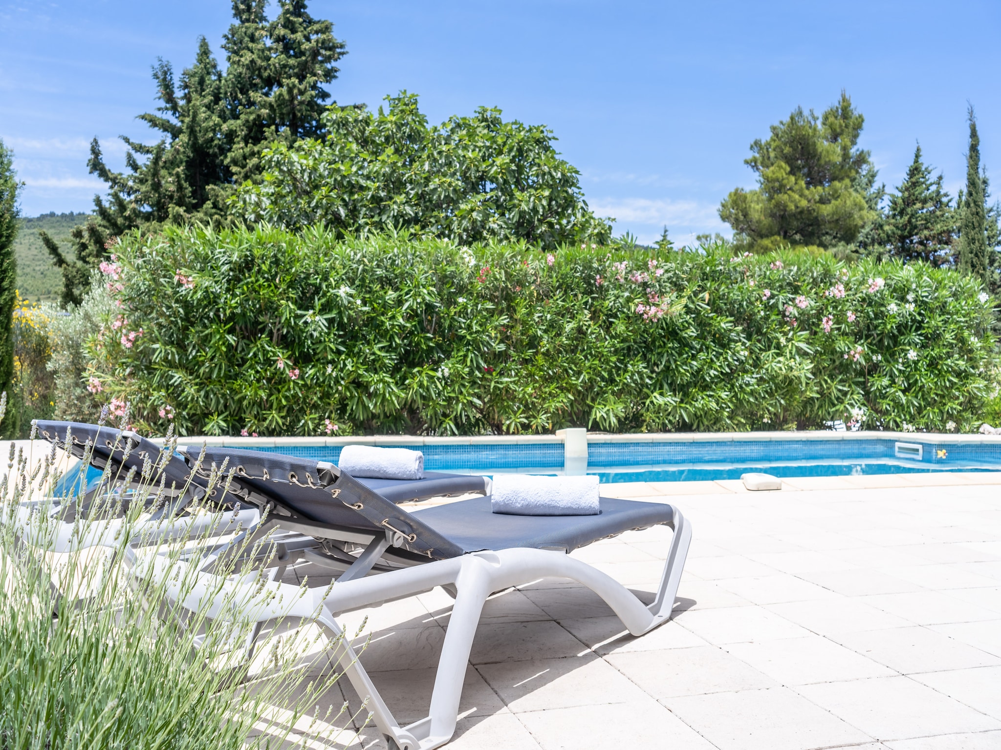 Ferienhaus Aux Arbres Verts