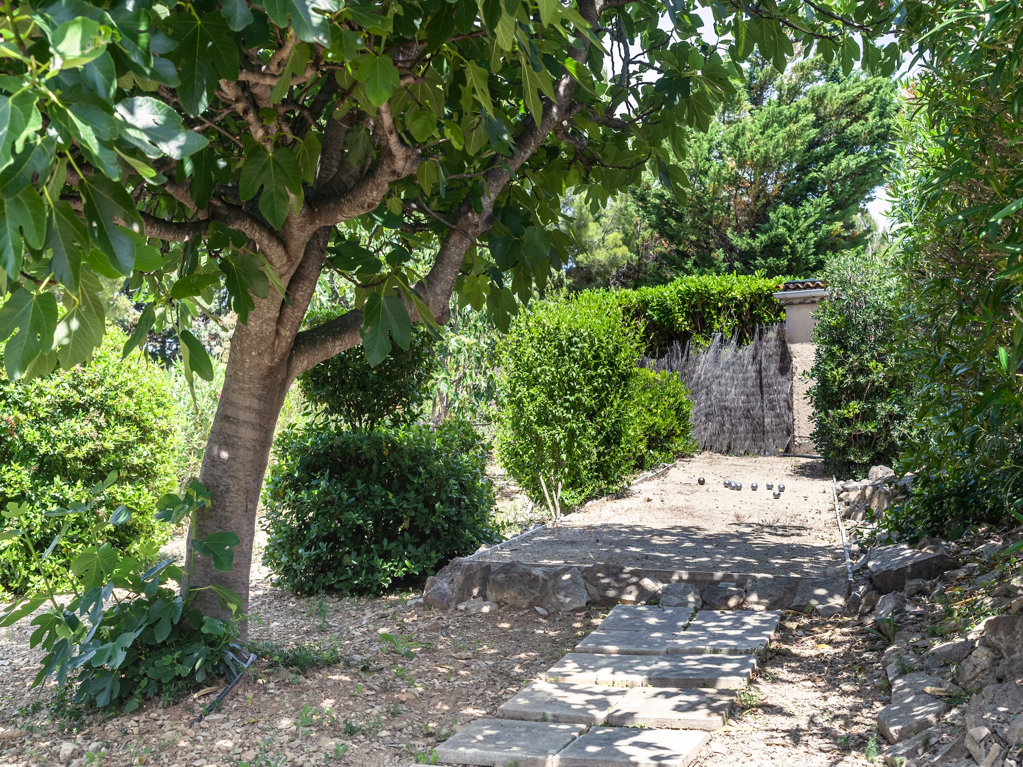Ferienhaus Aux Arbres Verts