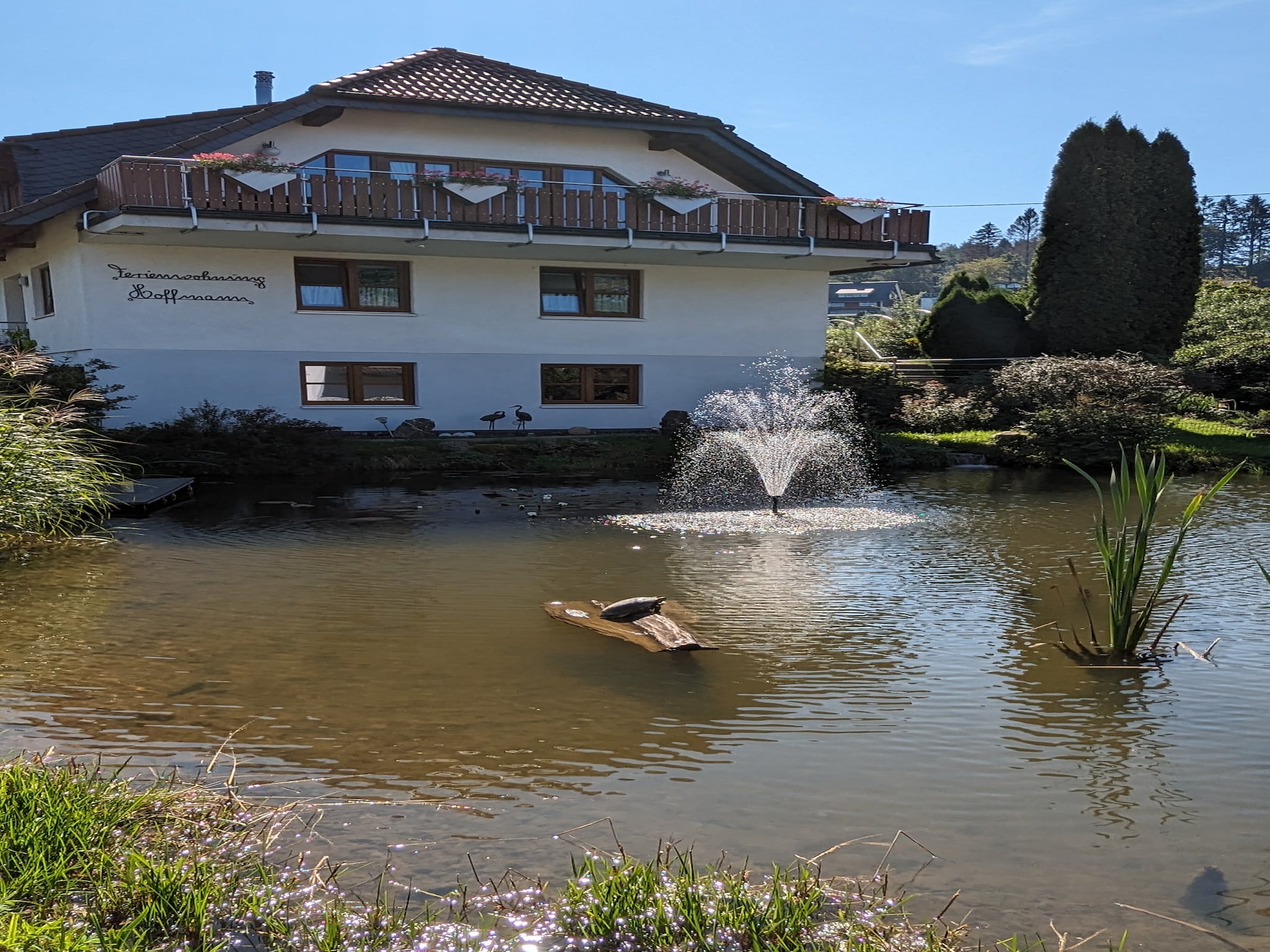 Ferienwohnung Am Teich
