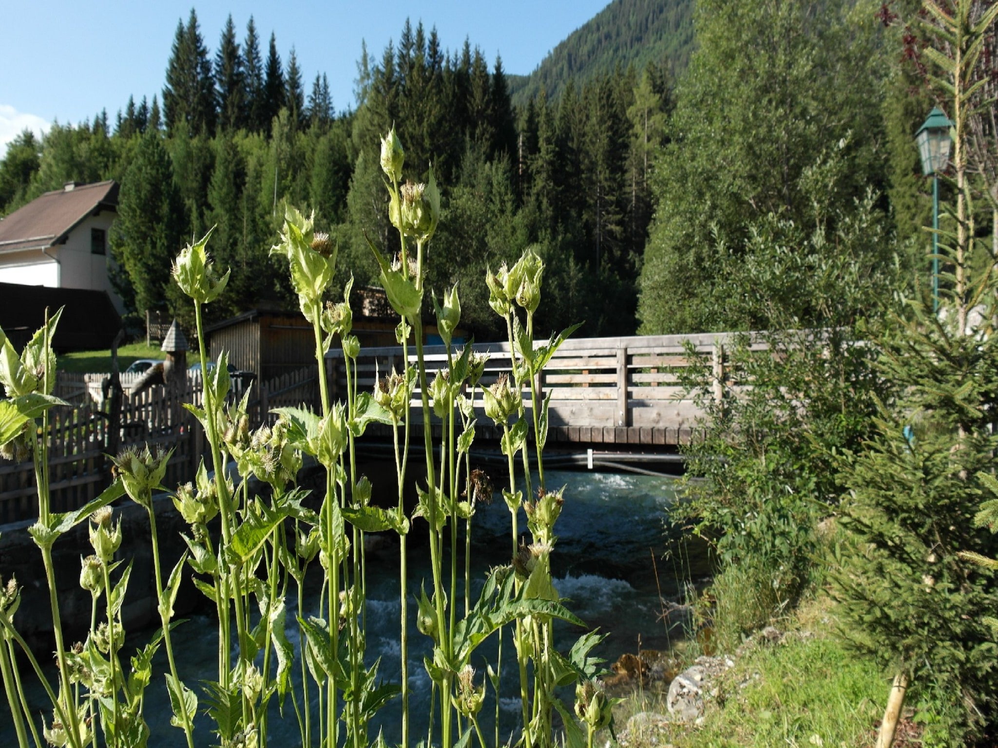   Chalet Hammerweg