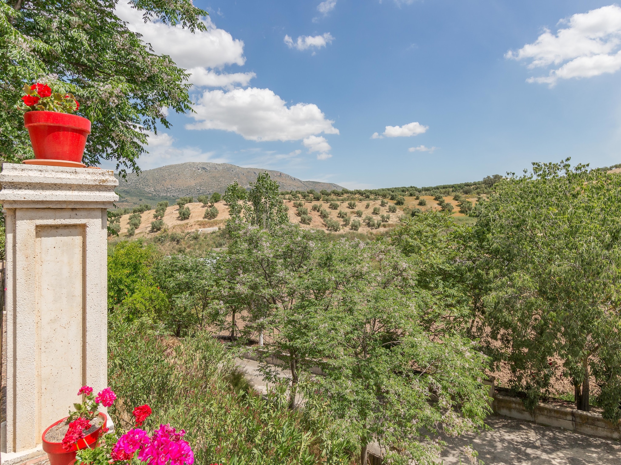 Ferienhaus Cortijo La Mimbre