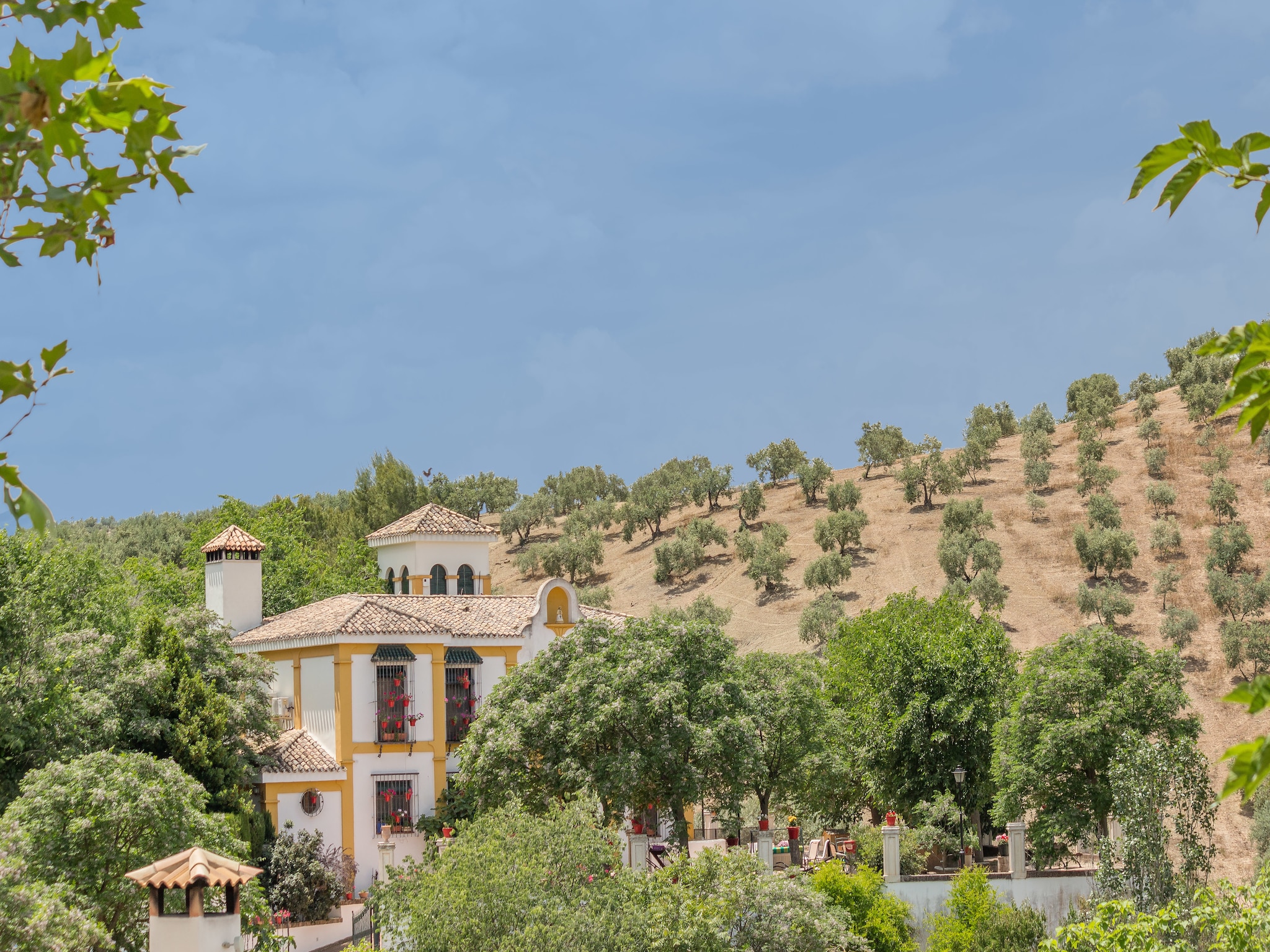 Ferienhaus Cortijo La Mimbre