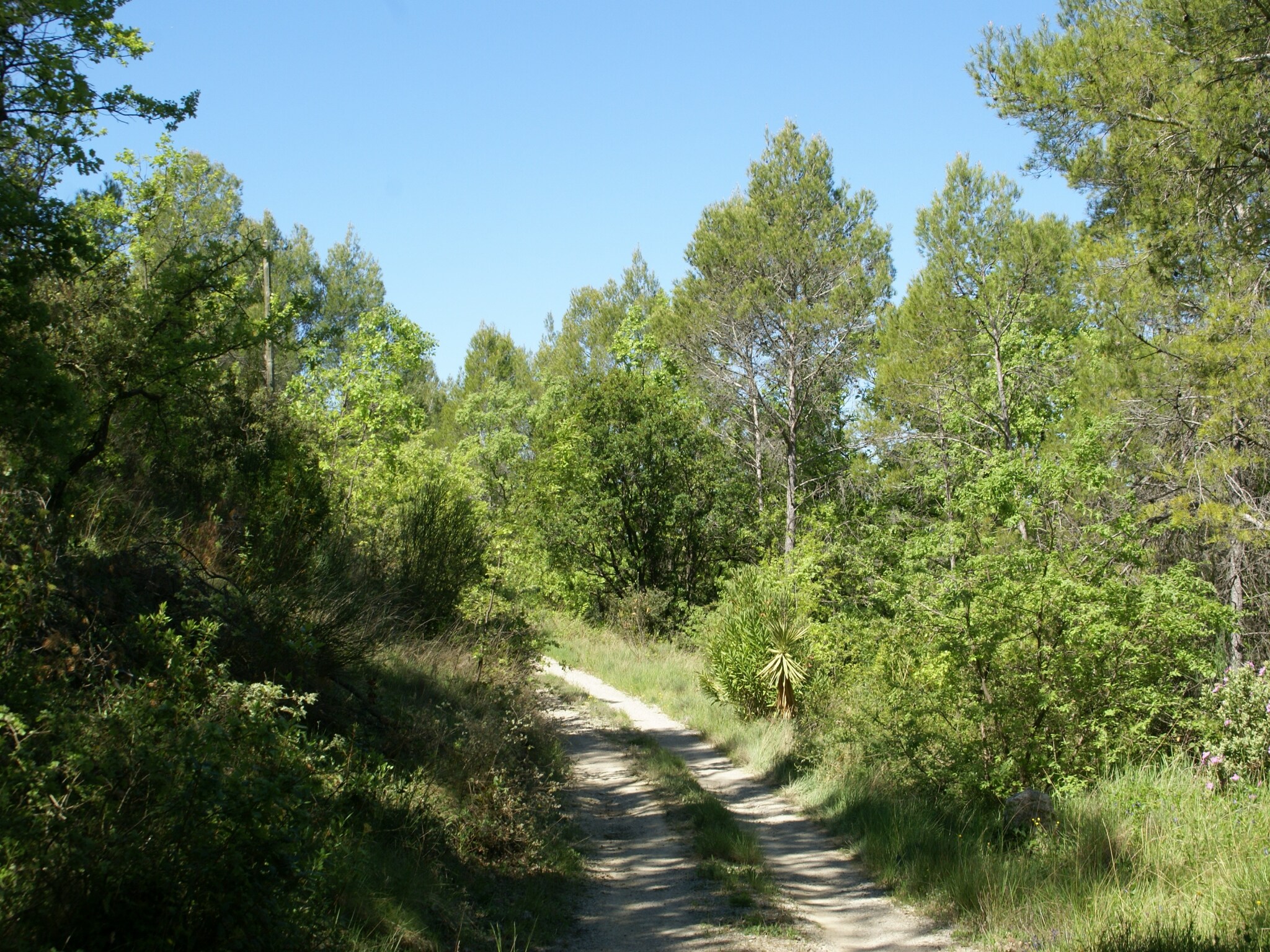 Vacation home La Chiroquoise
