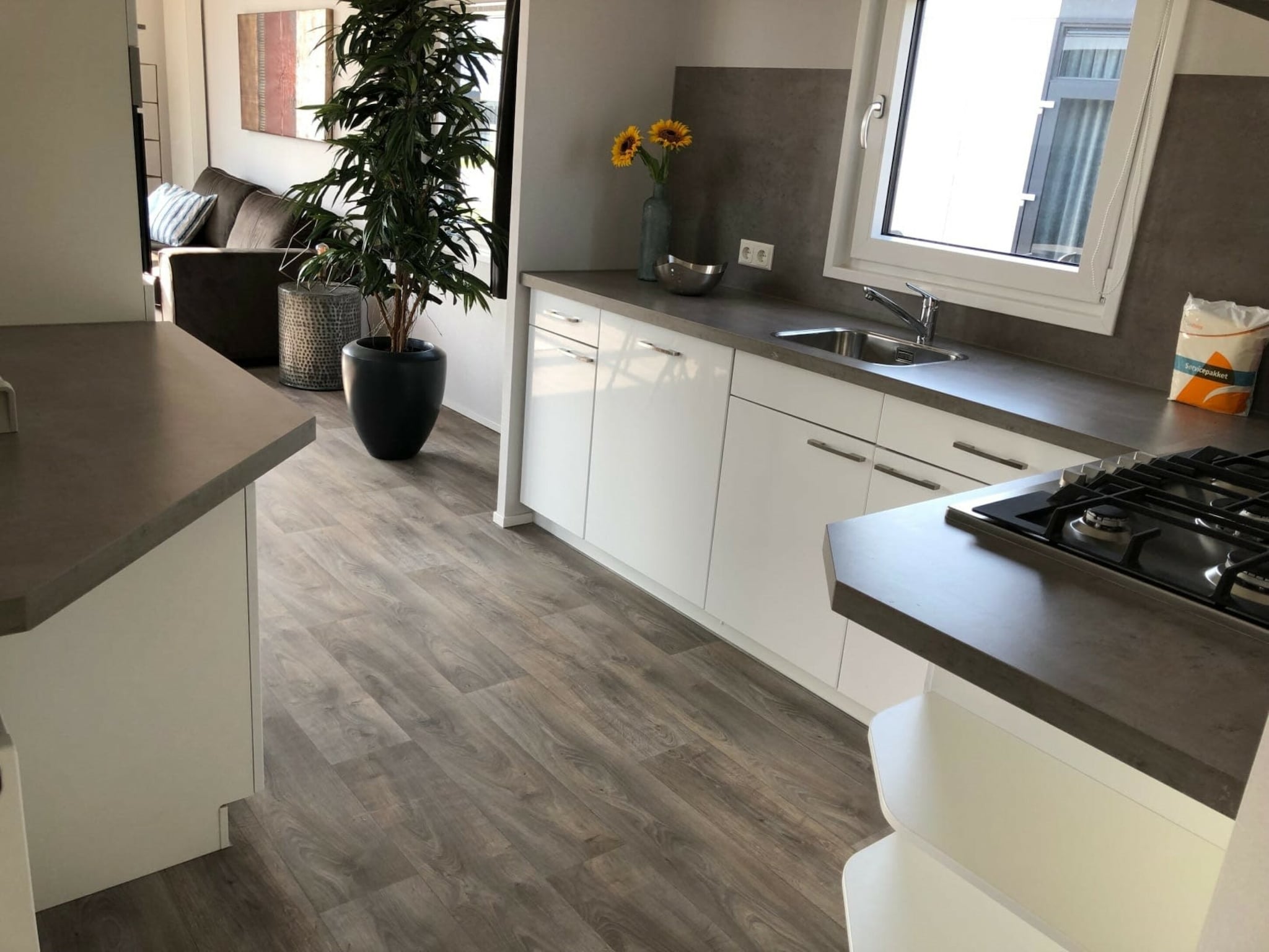 Ferienhaus Resort Zilverstrand 2
