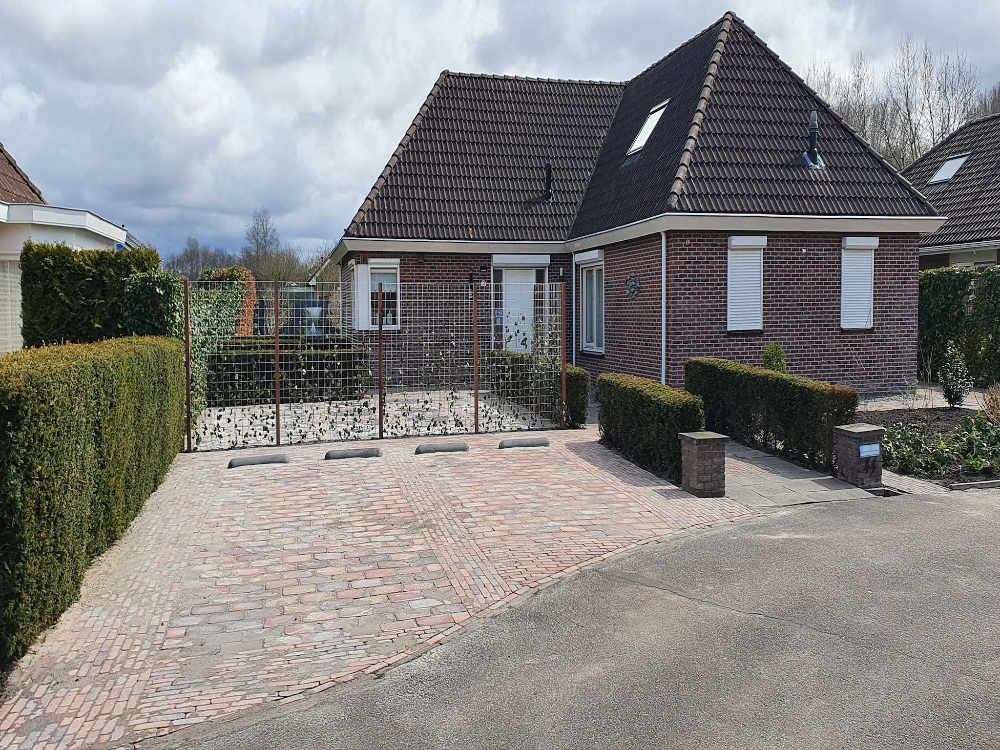   Bosruiter