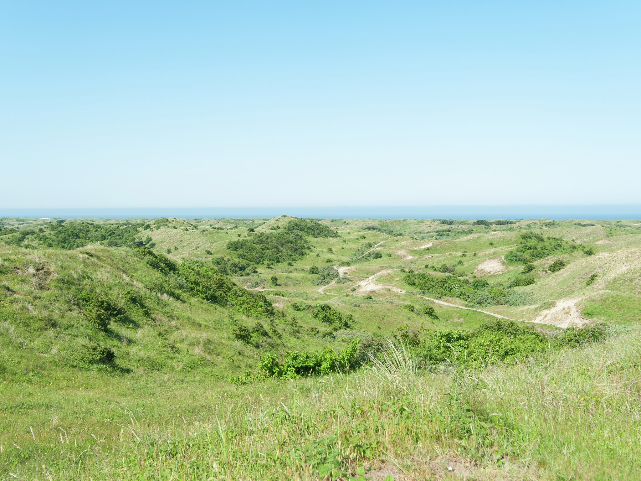   Sea Lodges Zandvoort  4
