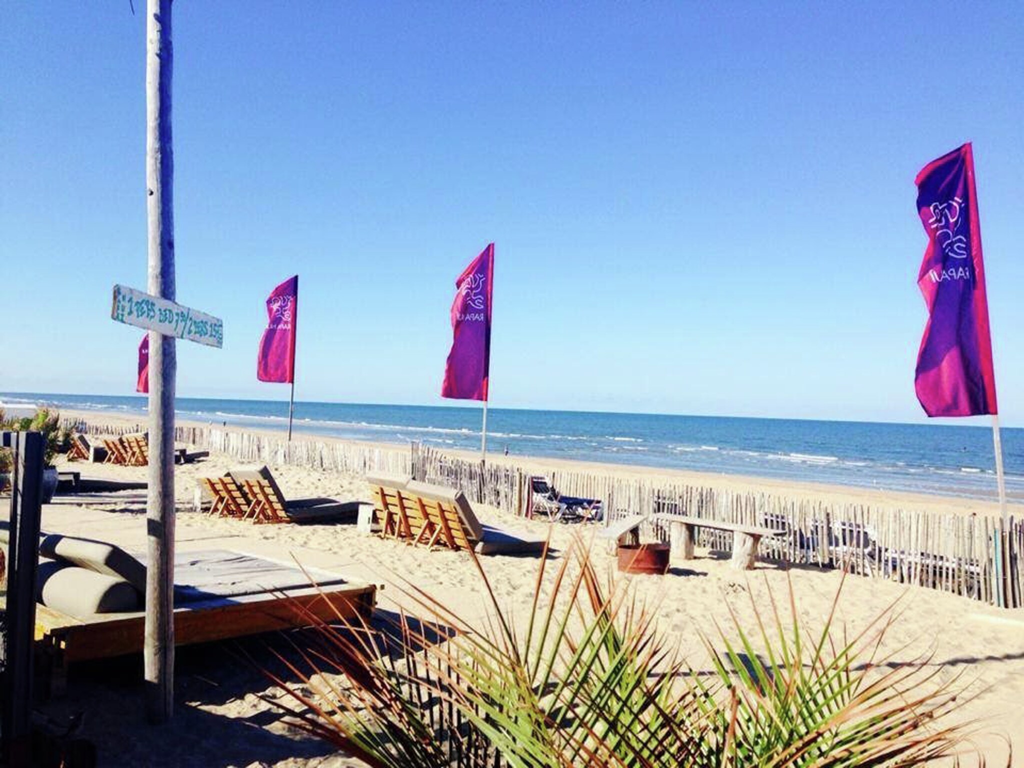   Sea Lodges Zandvoort  4