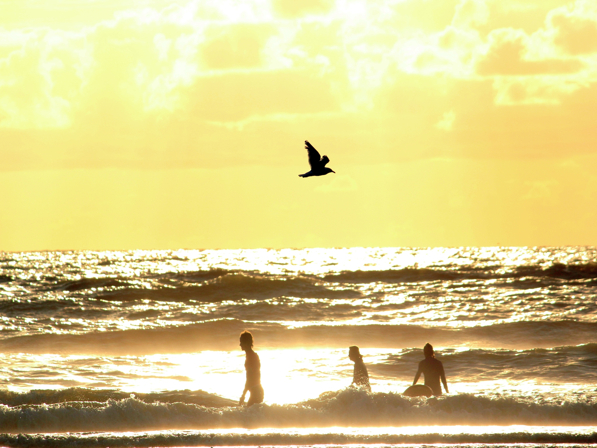  Sea Lodges Zandvoort  4