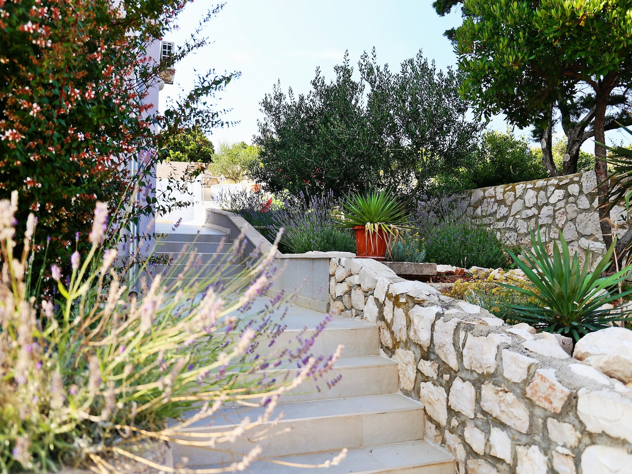   Villa Lavanda