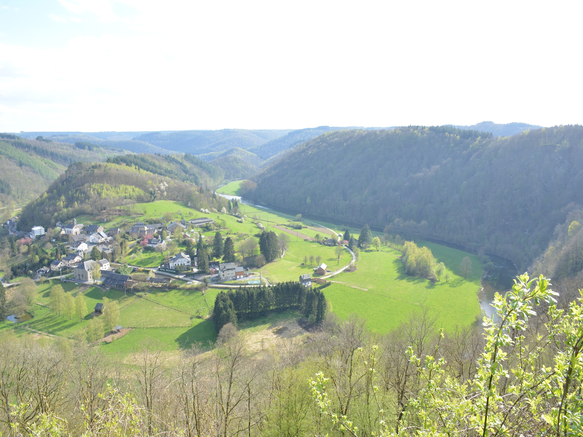   Le Fou du Village