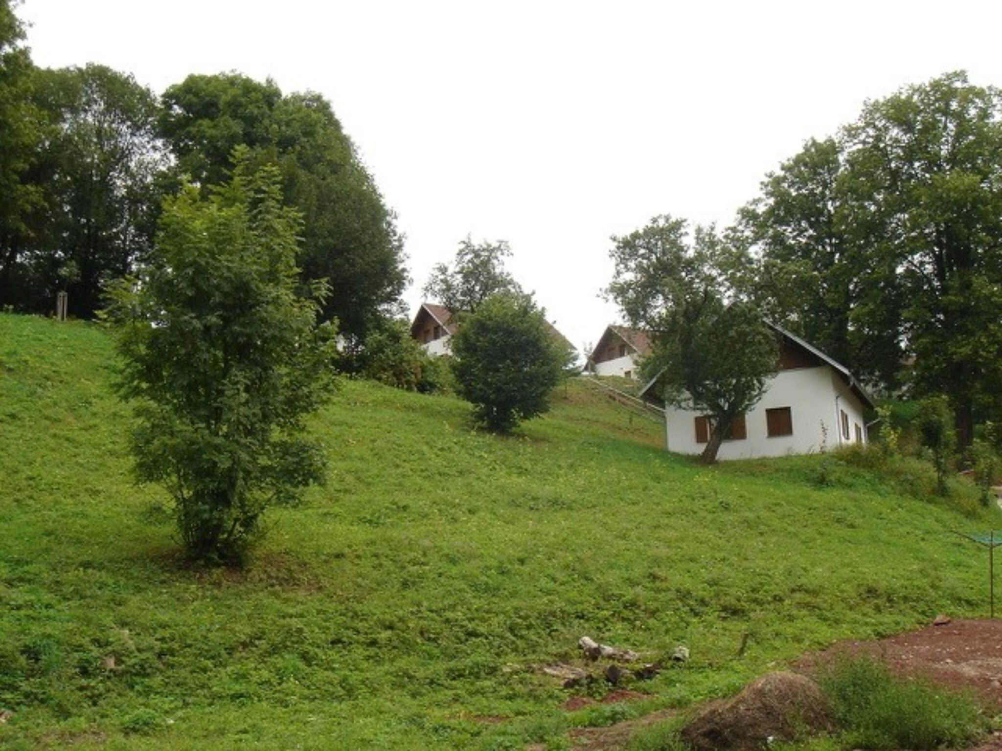   Hogendorf