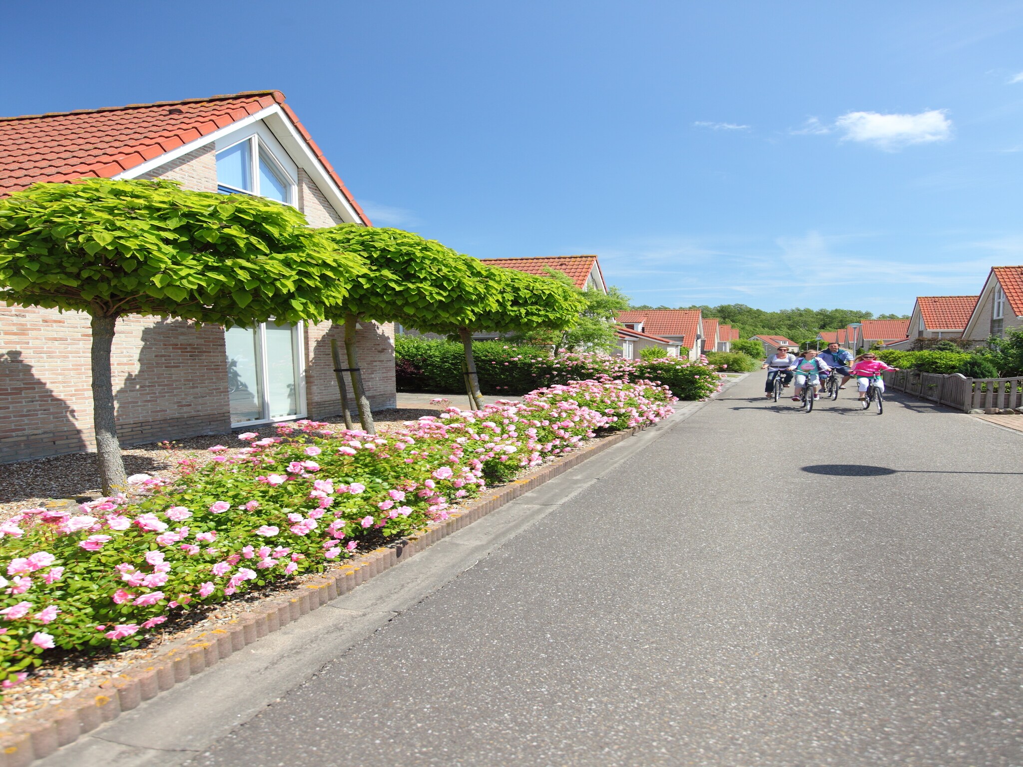   Vakantiepark Zeebad 9