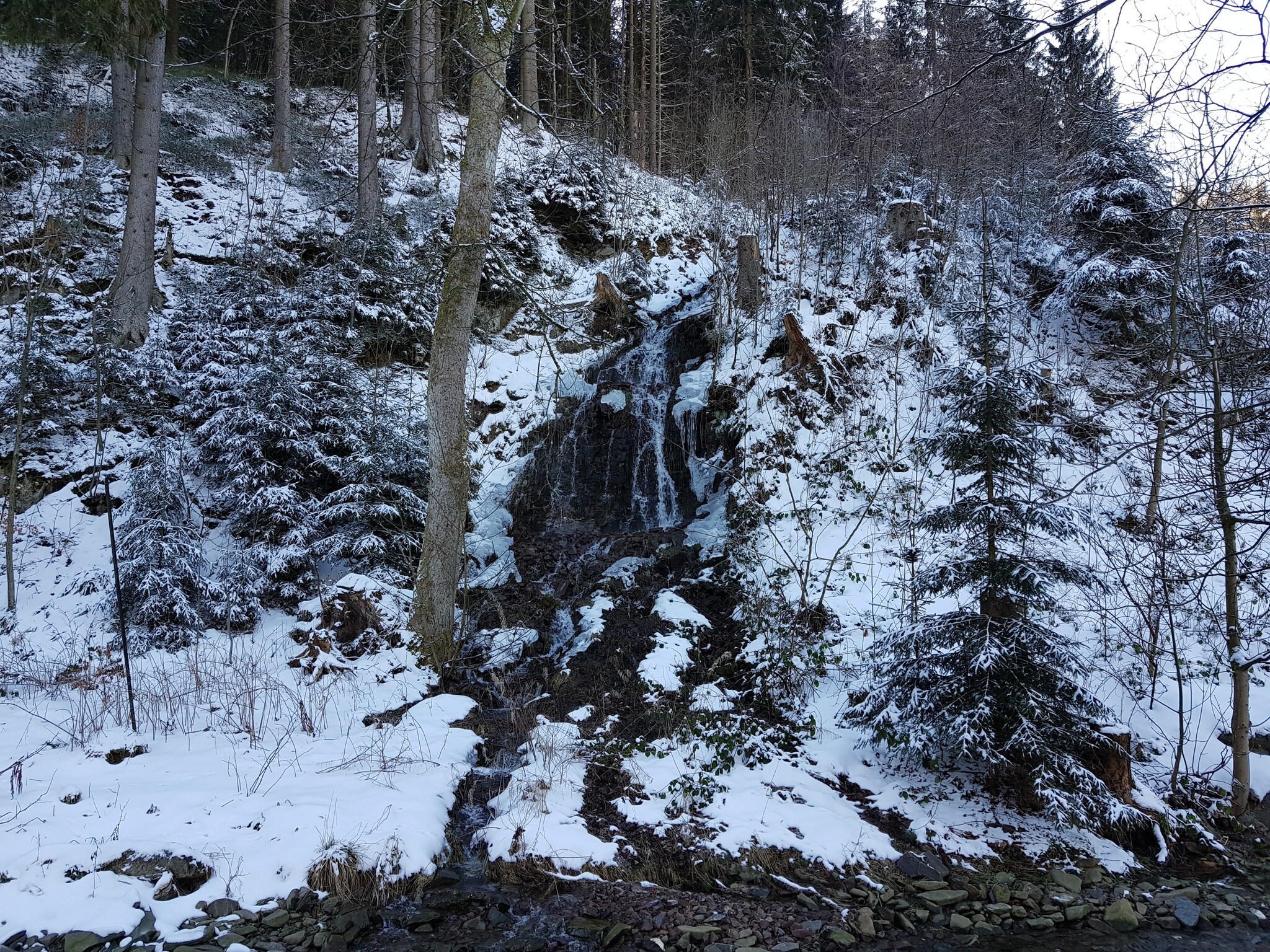 Leilighet Spiegeltal