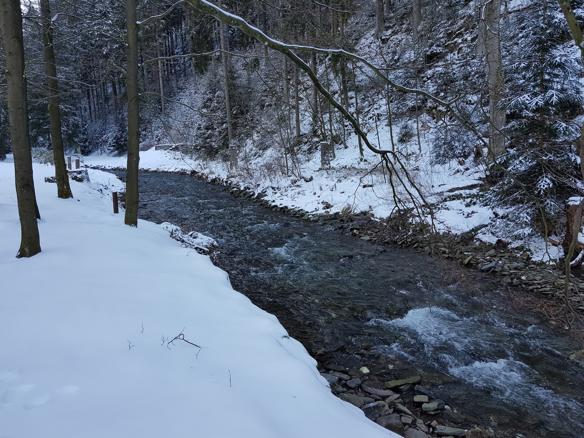 Leilighet Spiegeltal