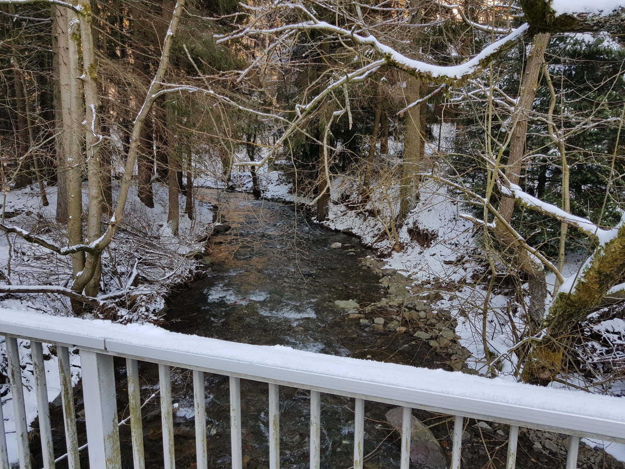   Spiegeltal