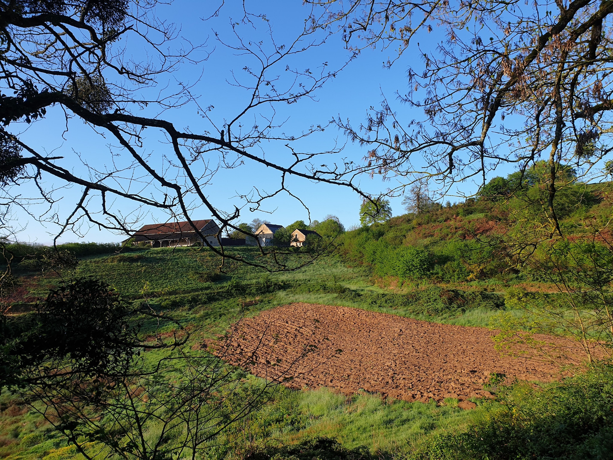   Gite Bourgogne rust & natuur