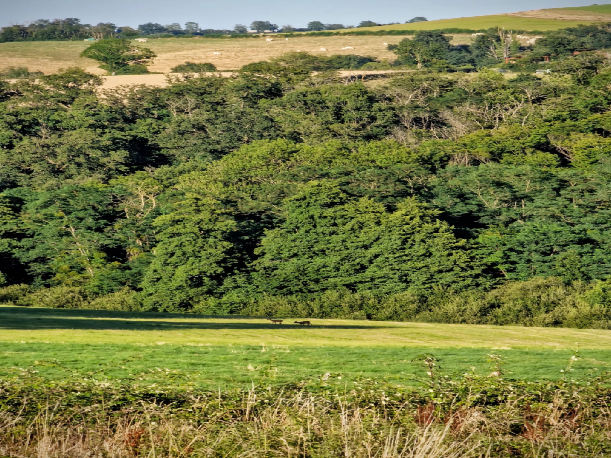   Gite Bourgogne rust & natuur