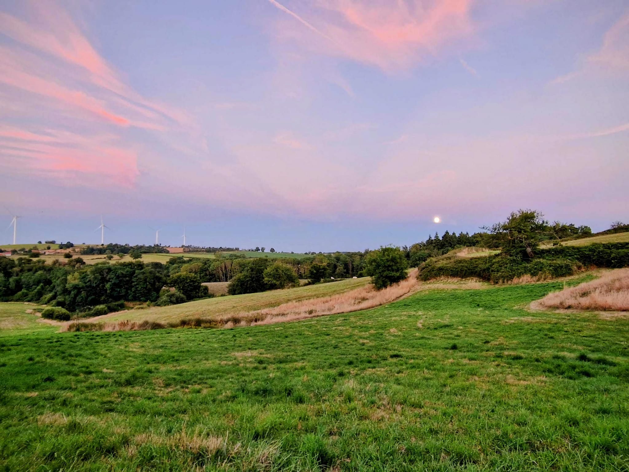   Gite Bourgogne rust & natuur