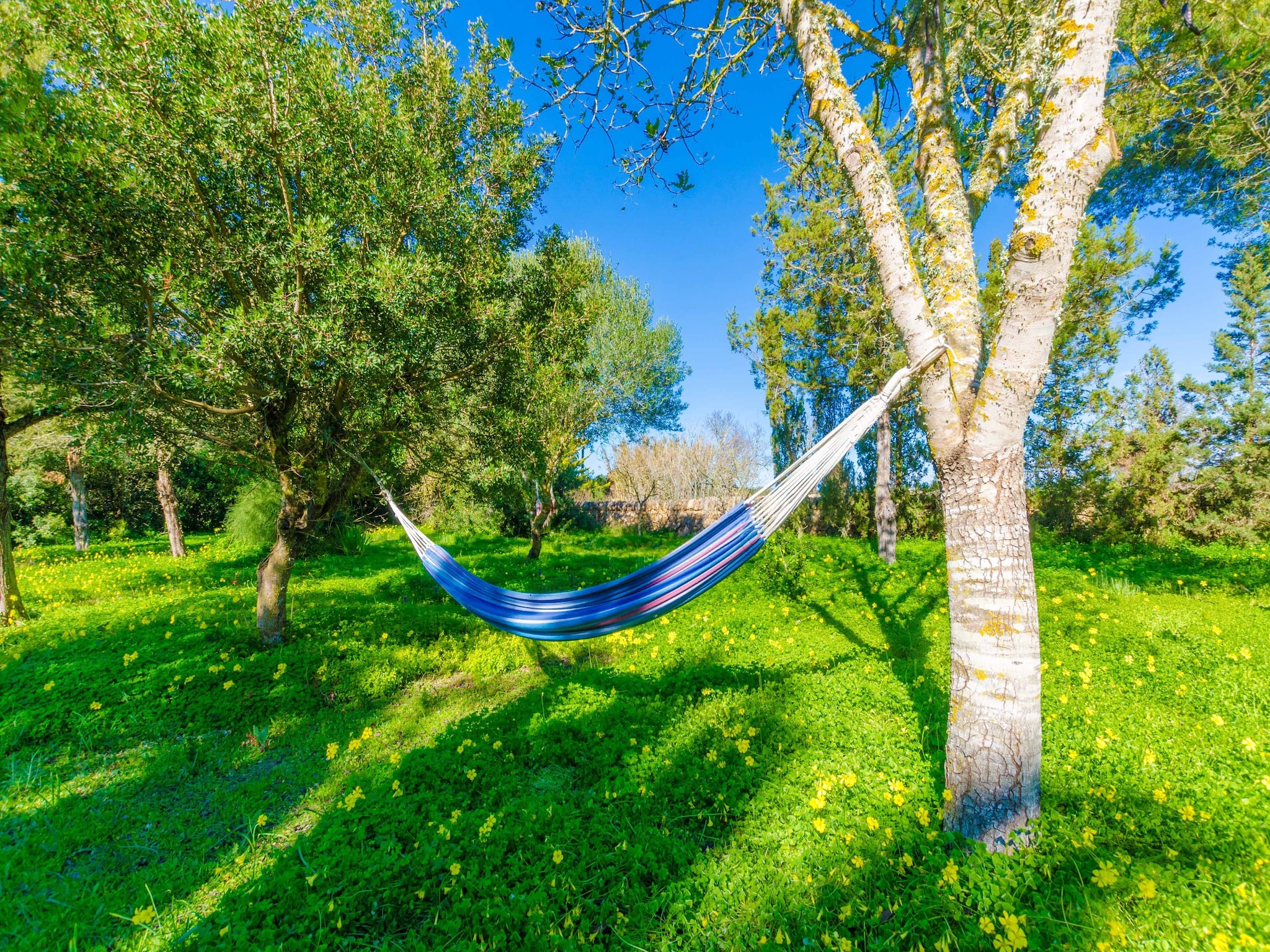 Ferienhaus Can Capulla 8