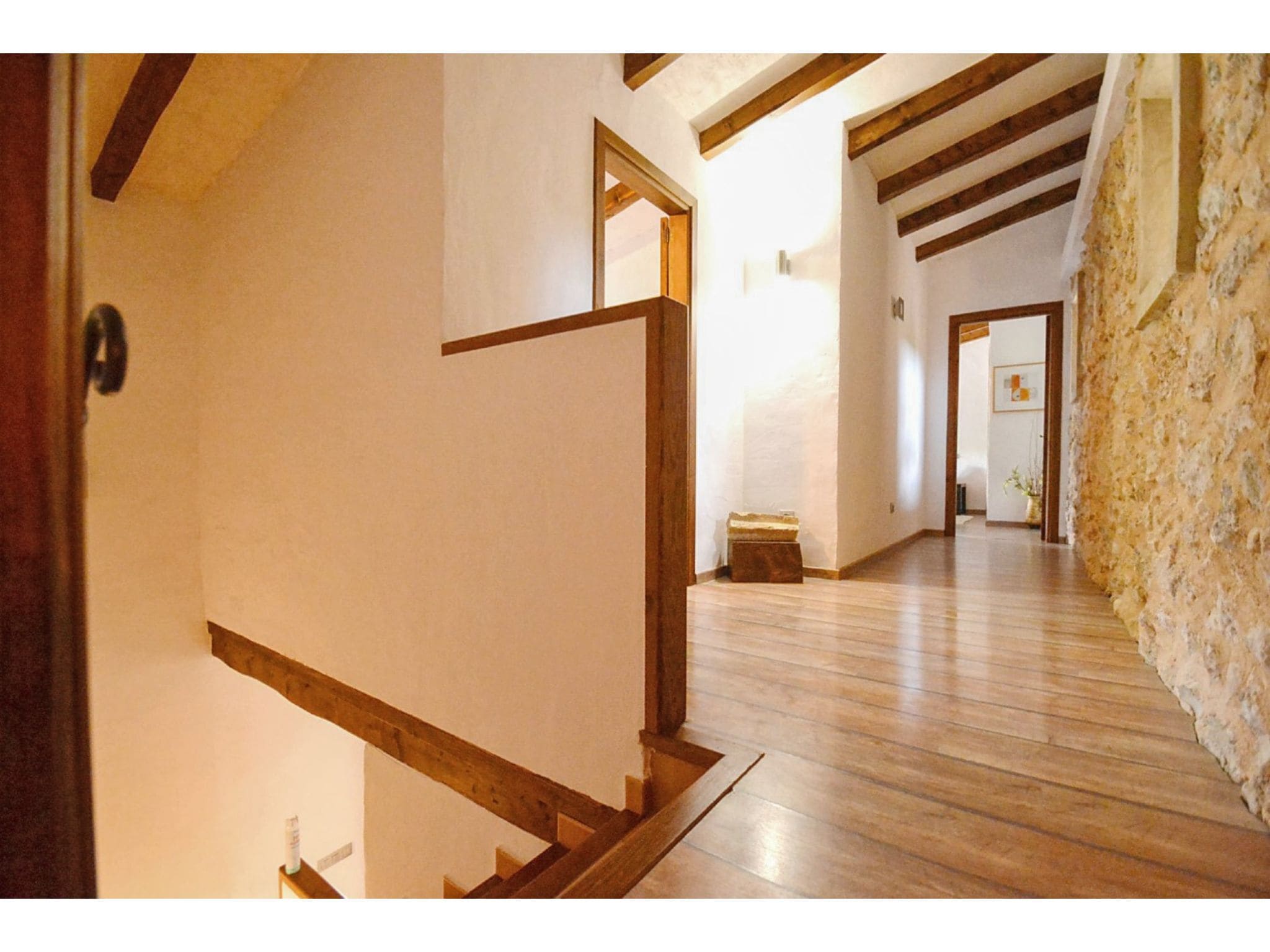   Cadernera