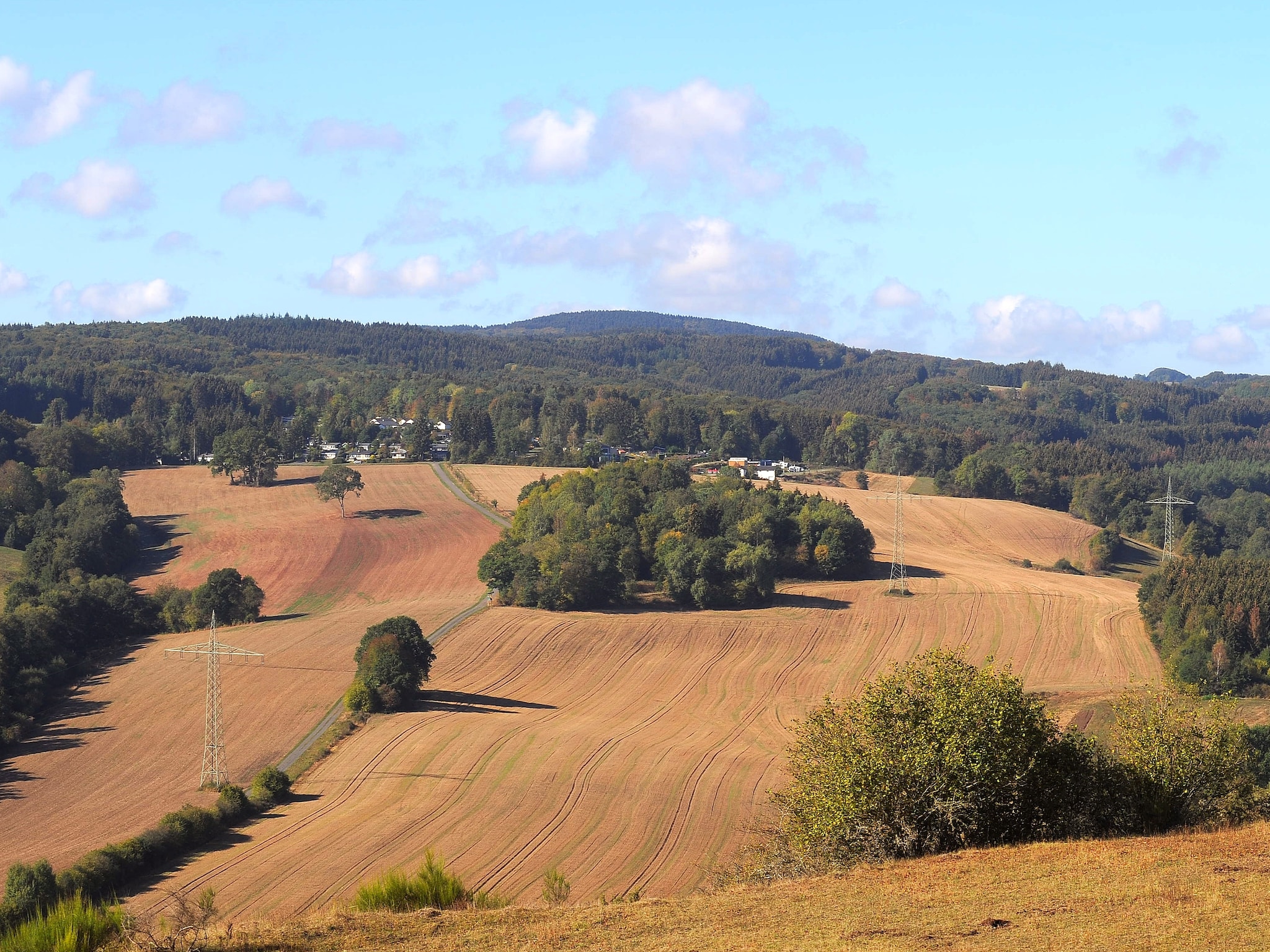   Waldferienpark Gerolstein 1