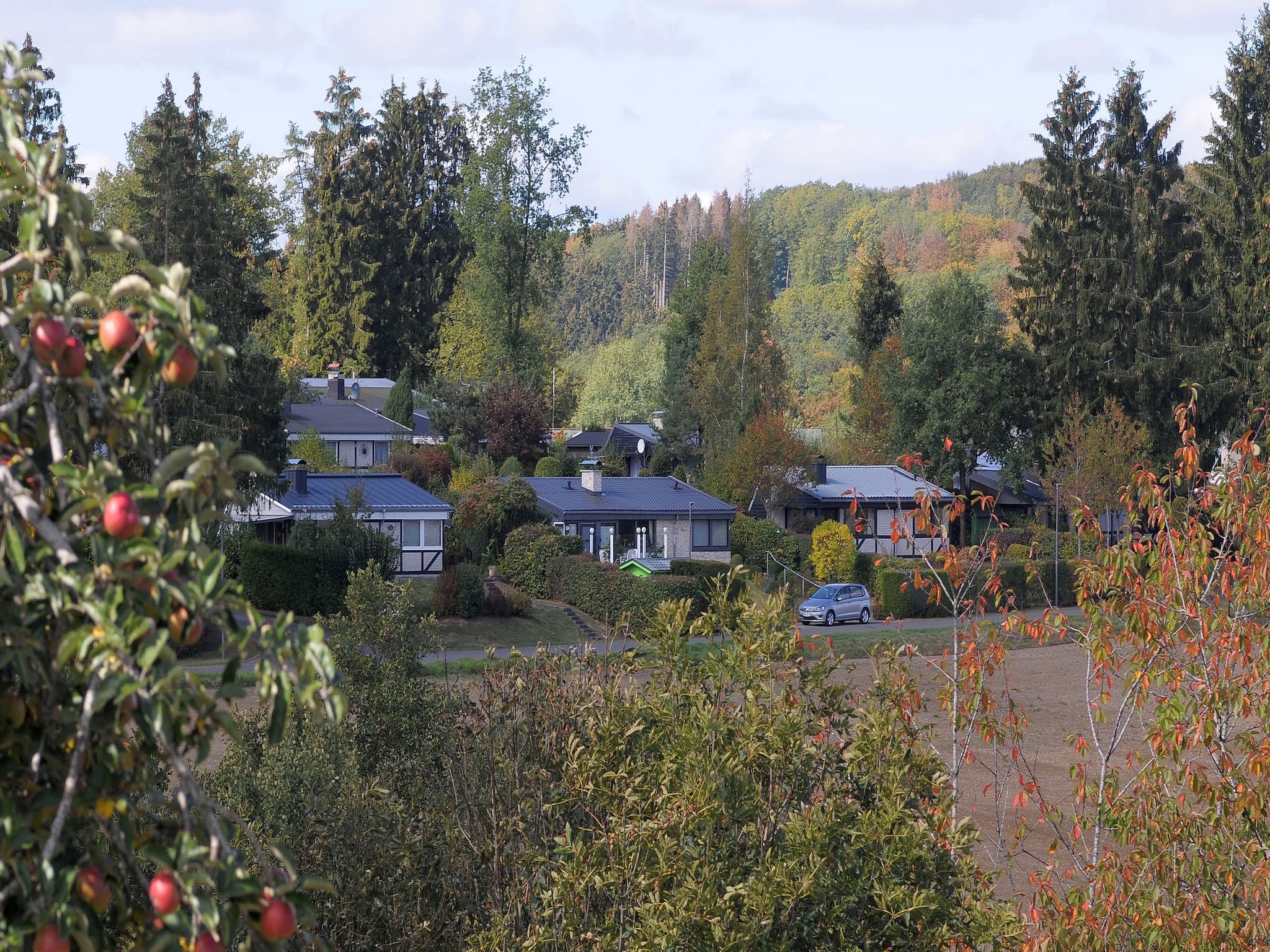   Waldferienpark Gerolstein 1
