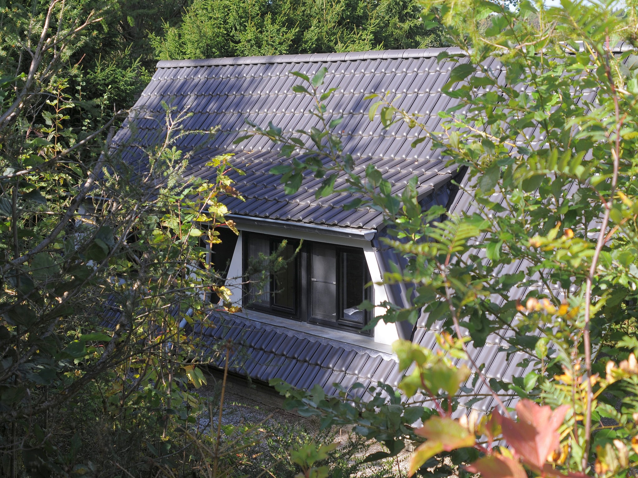  Waldferienpark Gerolstein 1