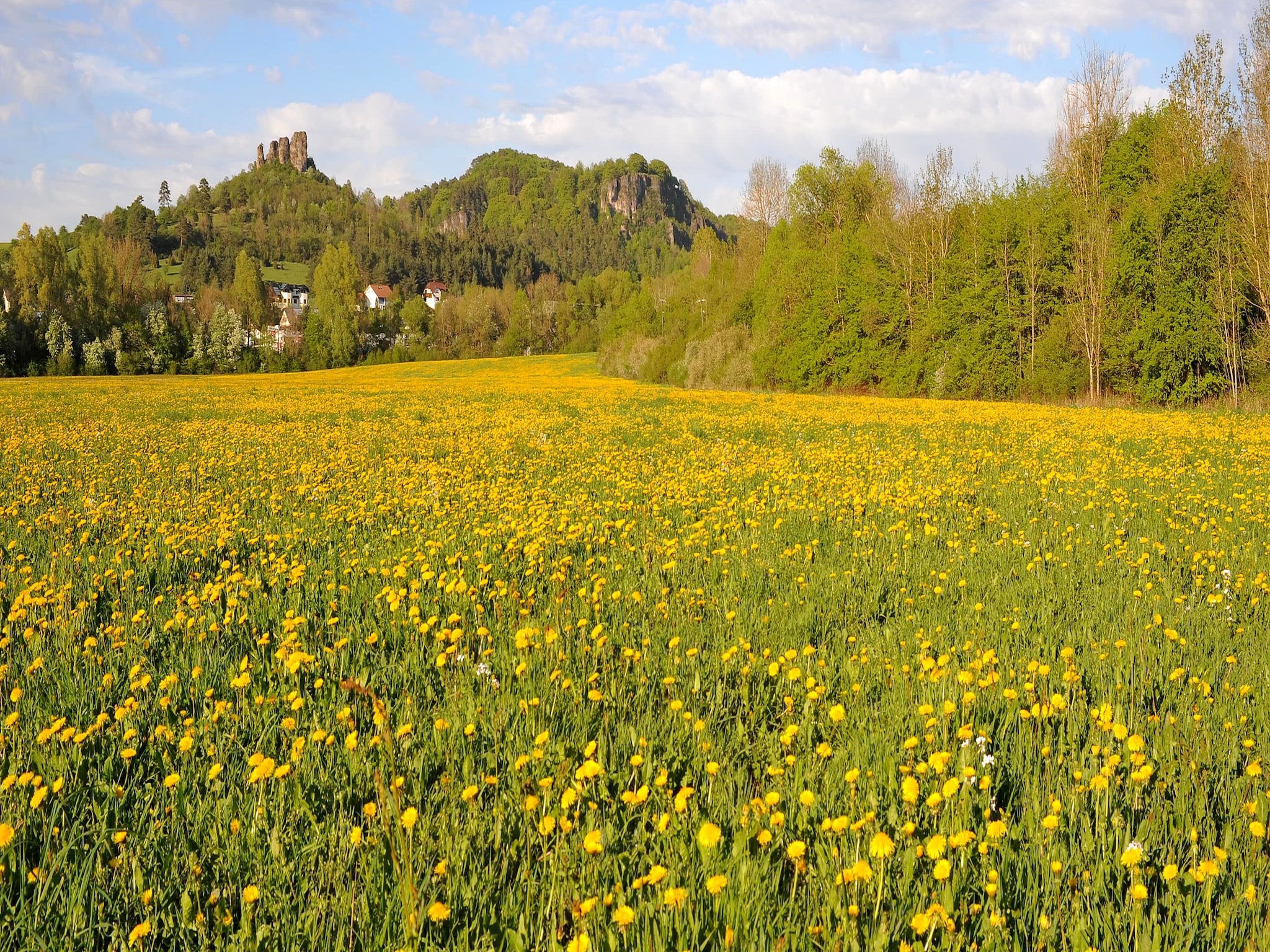   Waldferienpark Gerolstein 1