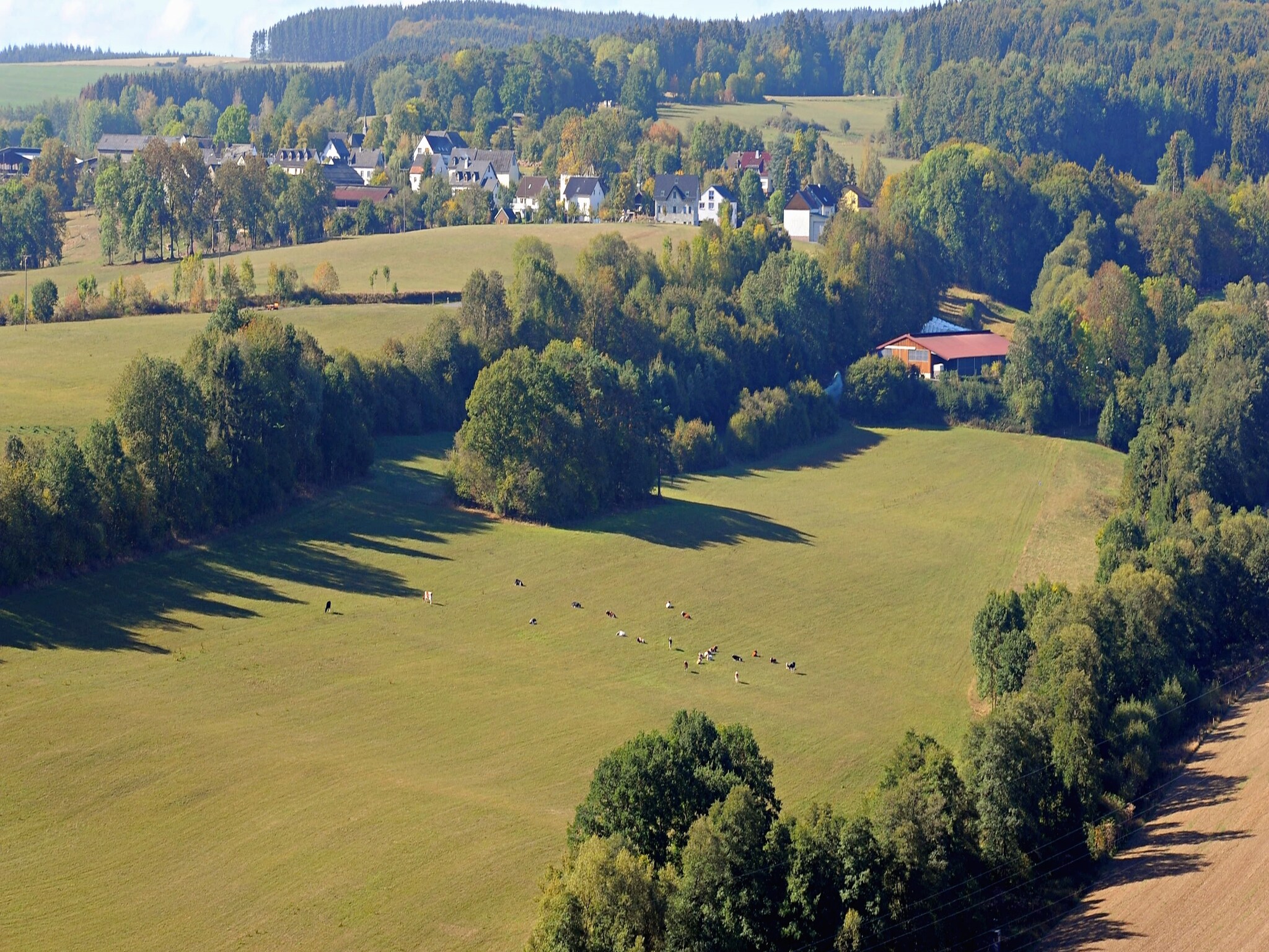   Waldferienpark Gerolstein 1