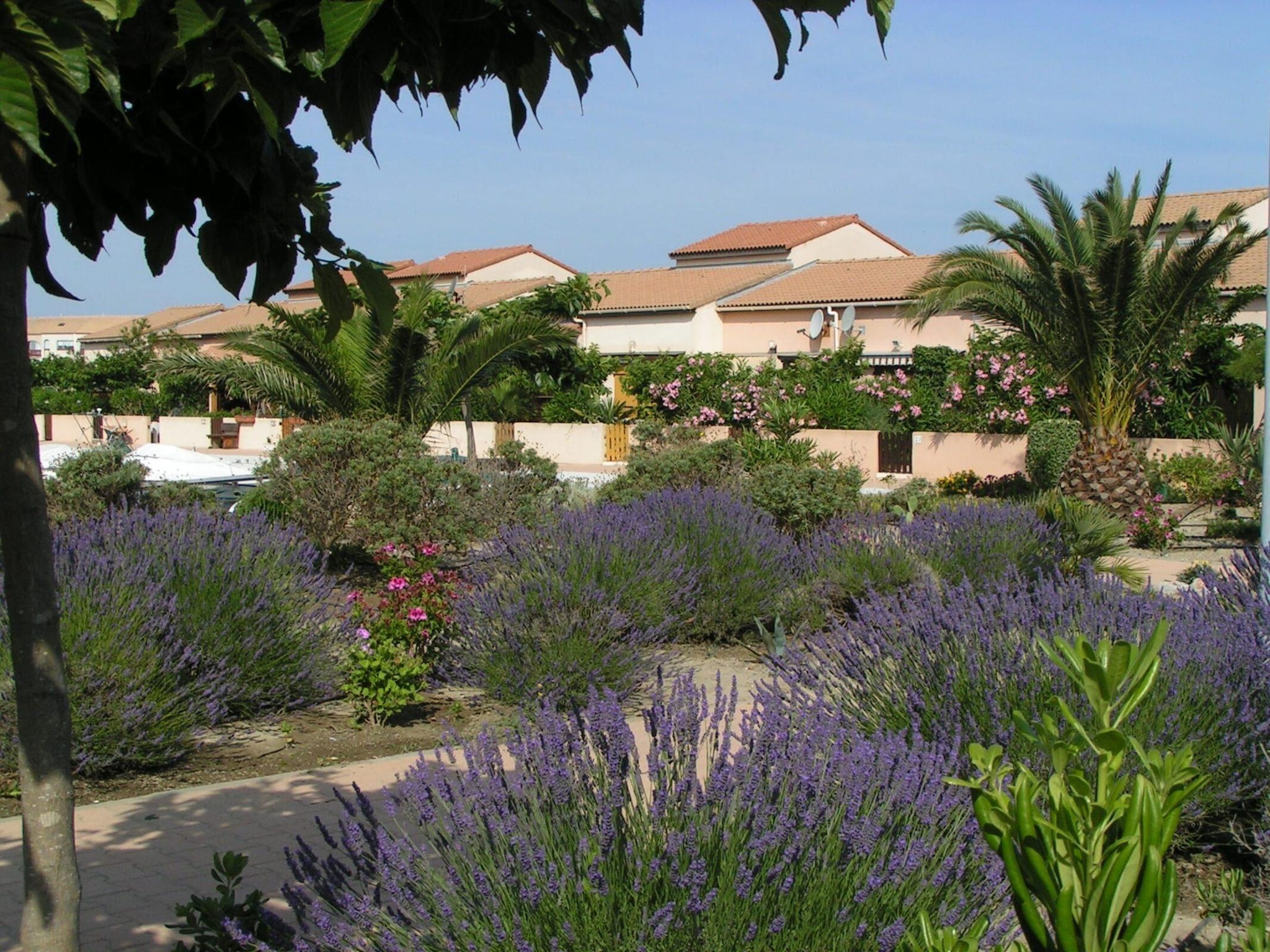 Apartment Residence Le Lotus Blanc 2